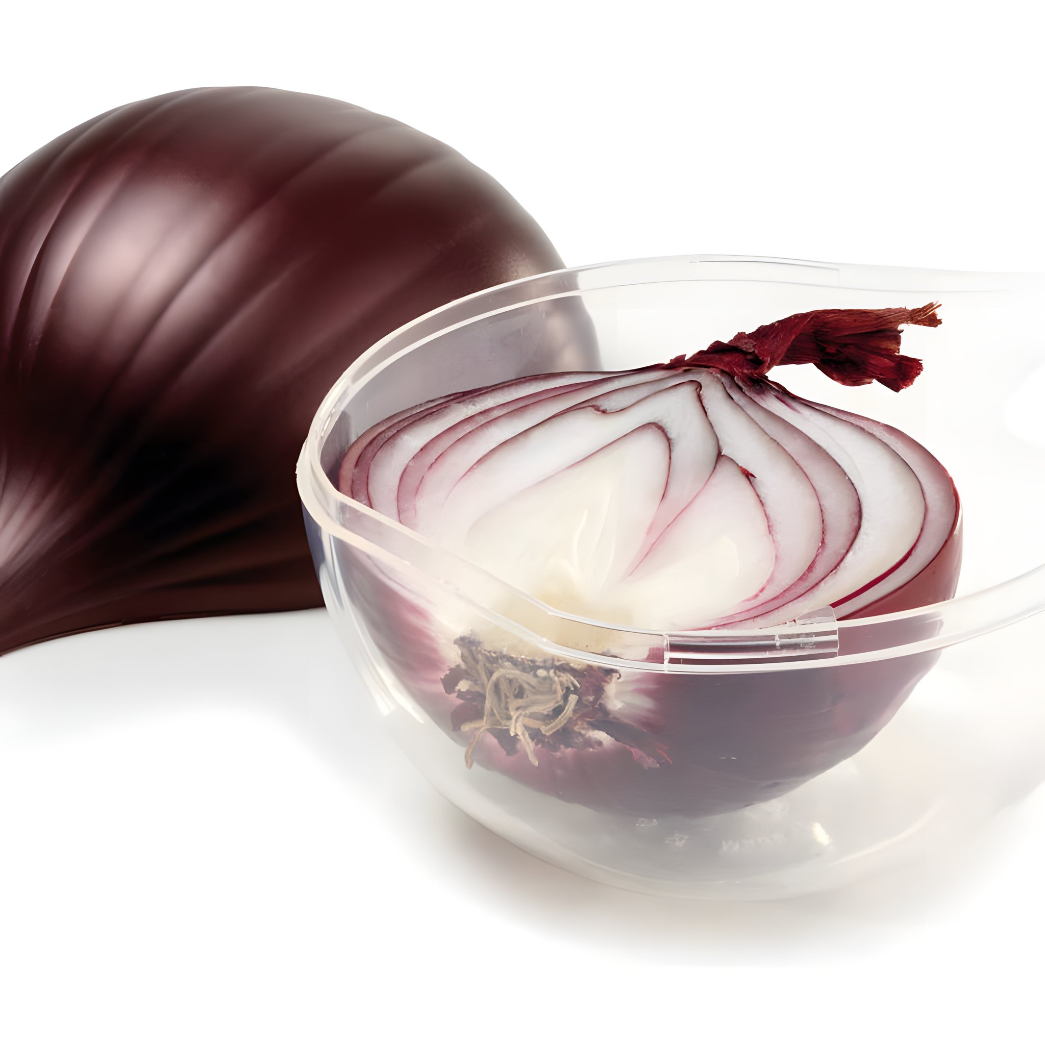 Zwiebel Aufbewahrungsbox