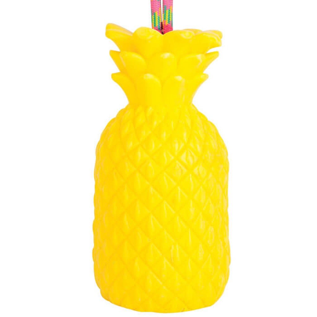 Seife Ananas von sunnylife