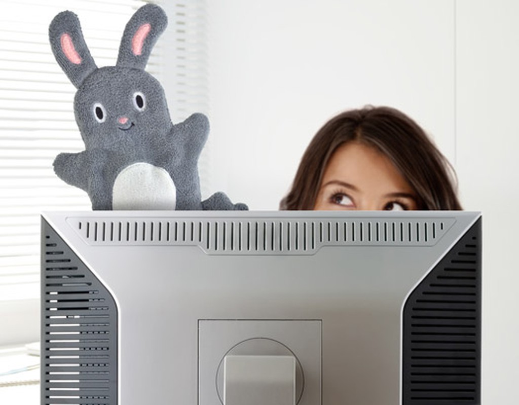 Abstaubhandschuh Häschen Dust Bunny