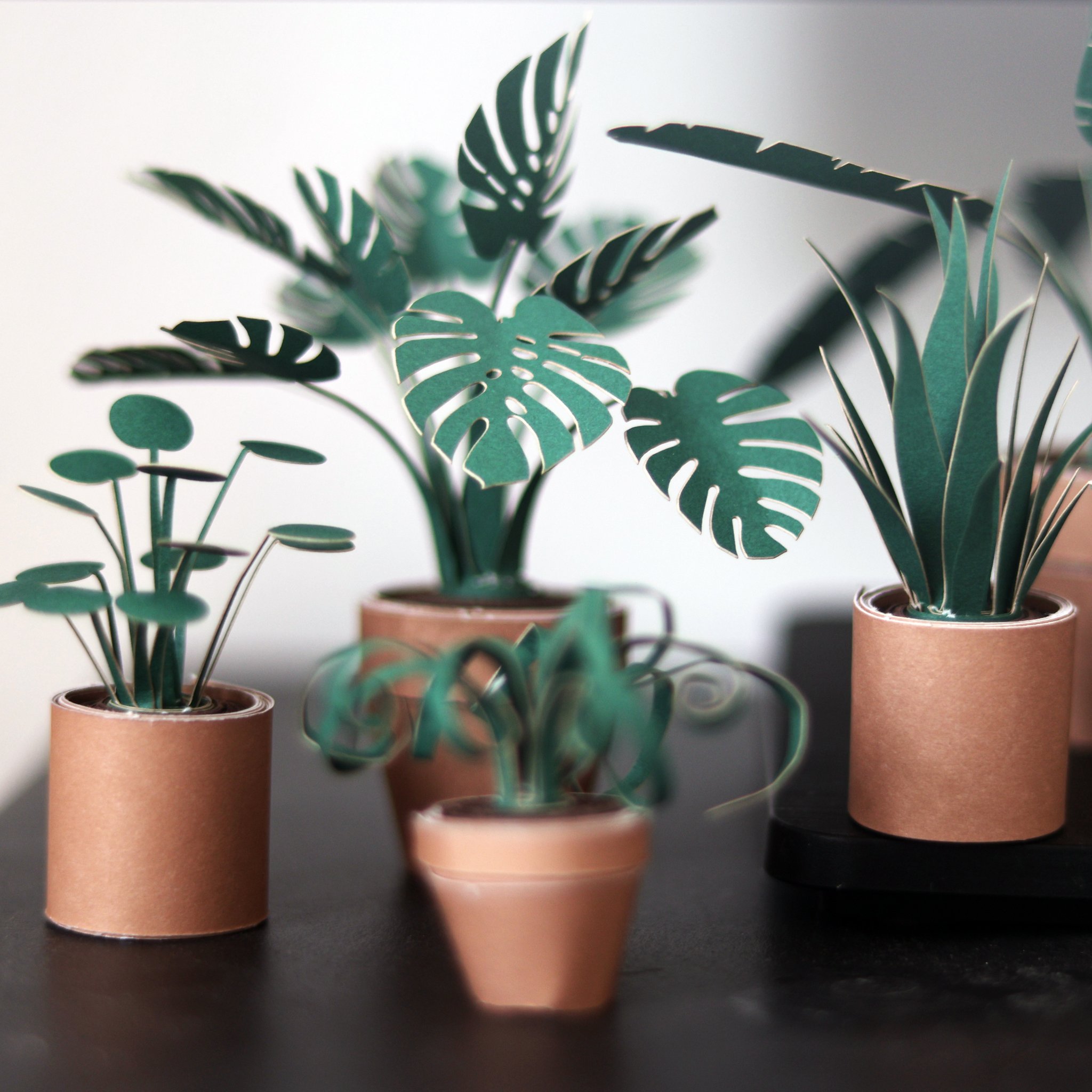 Paper Plants Origami-Set – 5 Mini-Pflanzen (Bild 5)