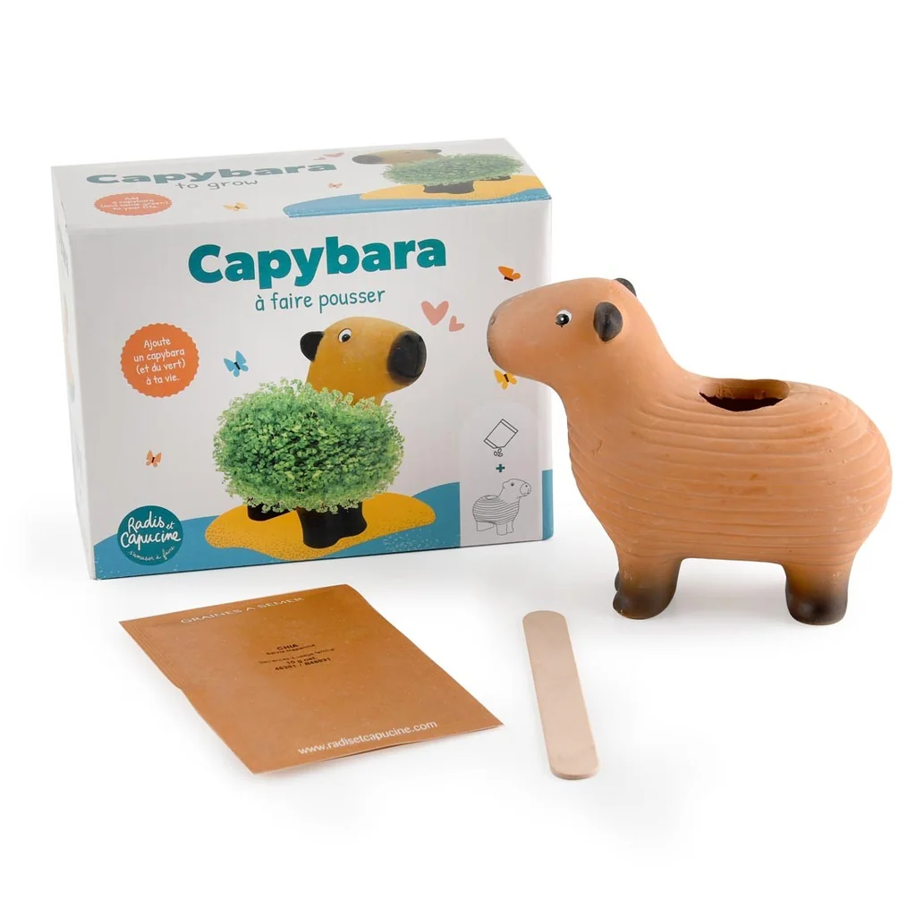 Capybara zum Samenzüchten
