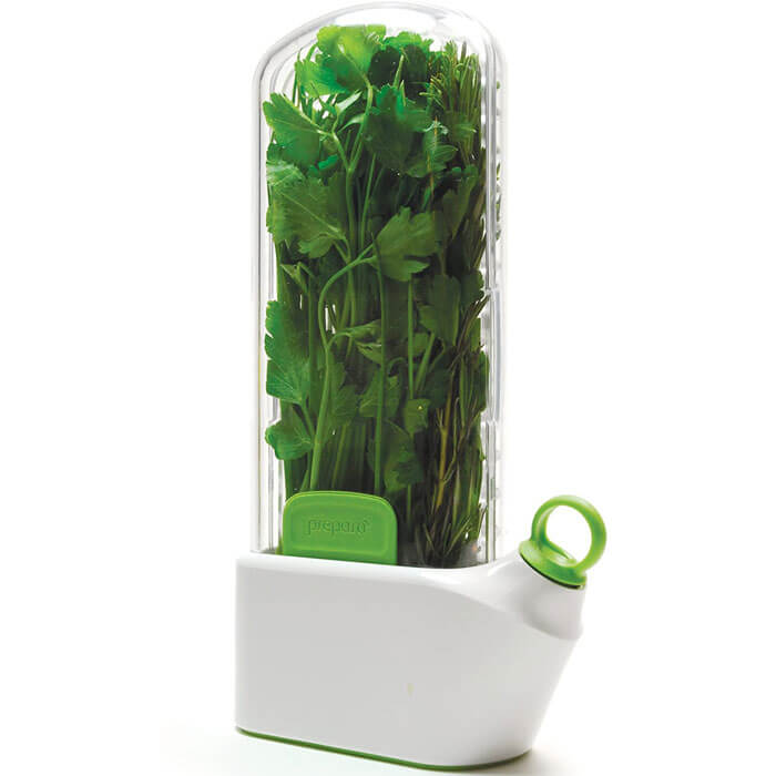 Conservateur d'Herbes Fraîches