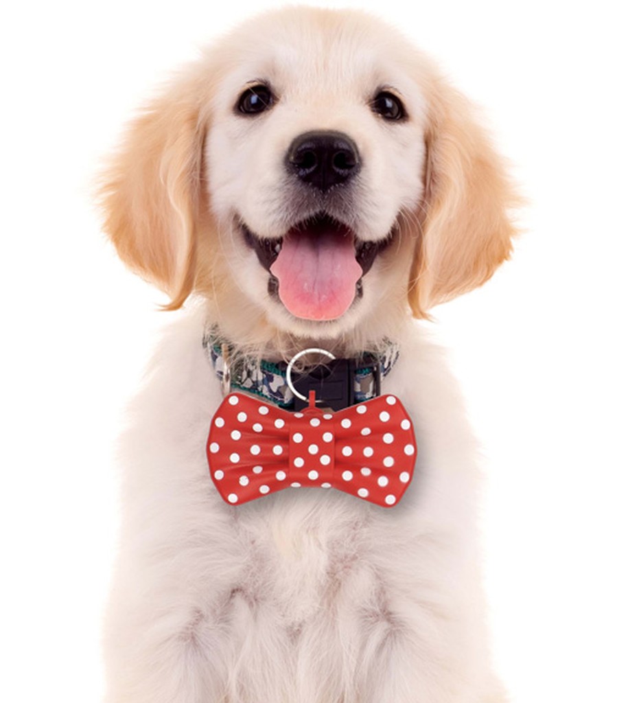 Sprechende Fliege für den Hund