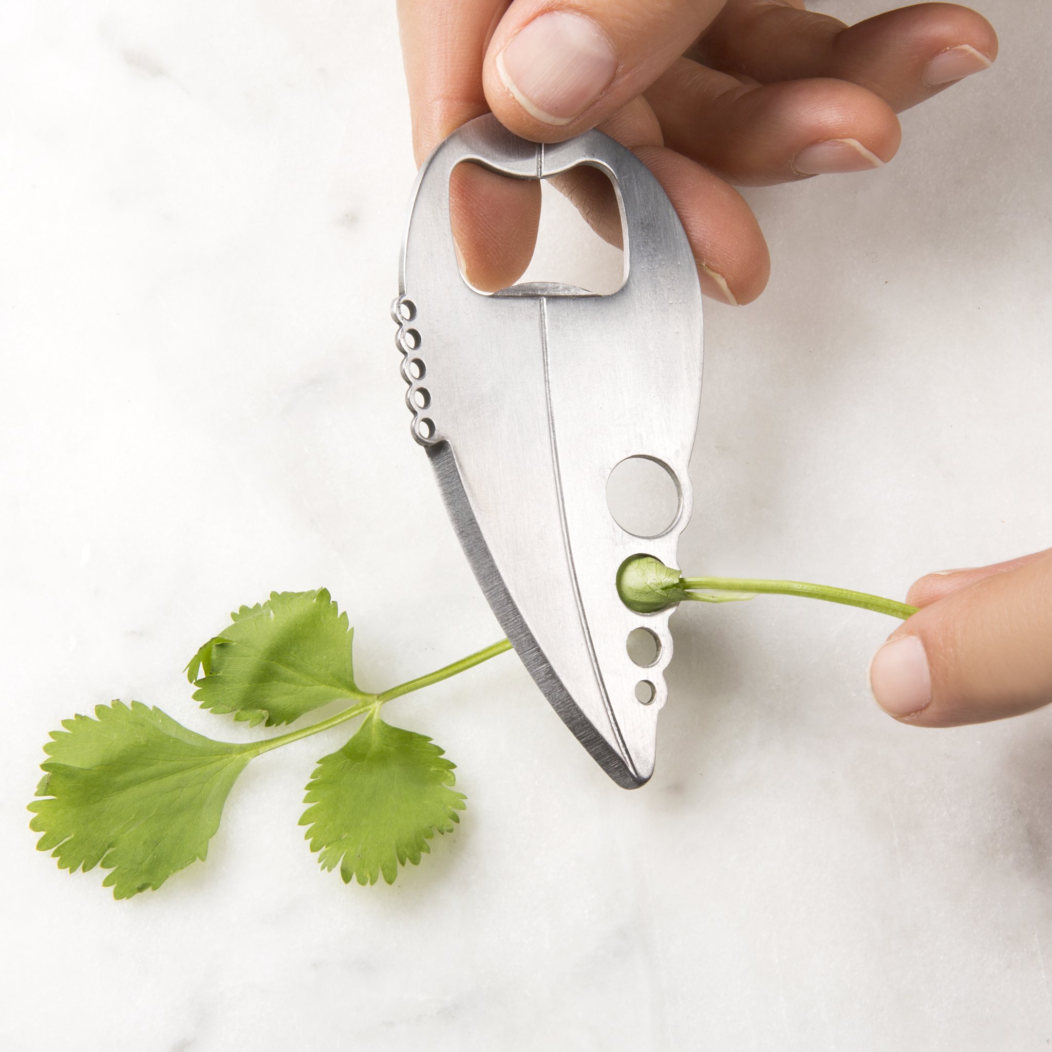 Coriander stem pulled through the hole of the multitool