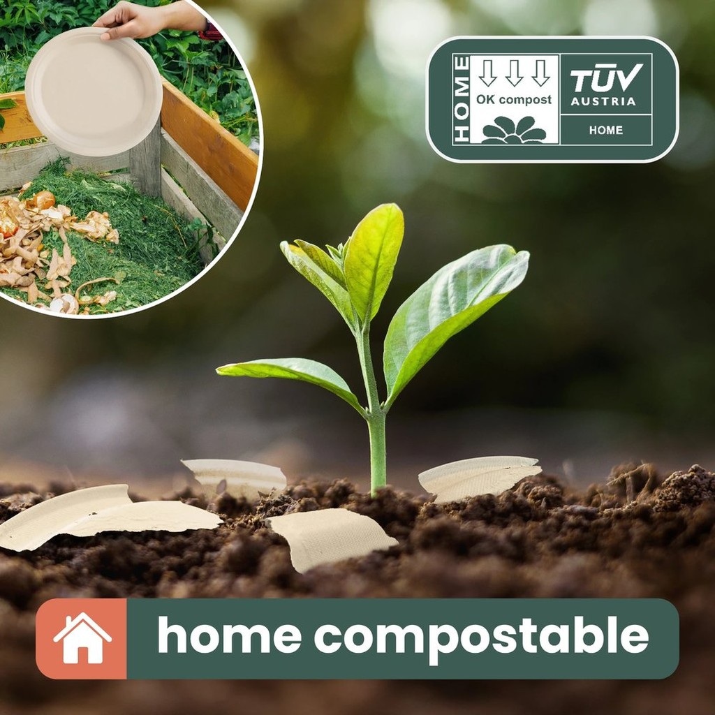 90 Einwegteller aus Zuckerrohr