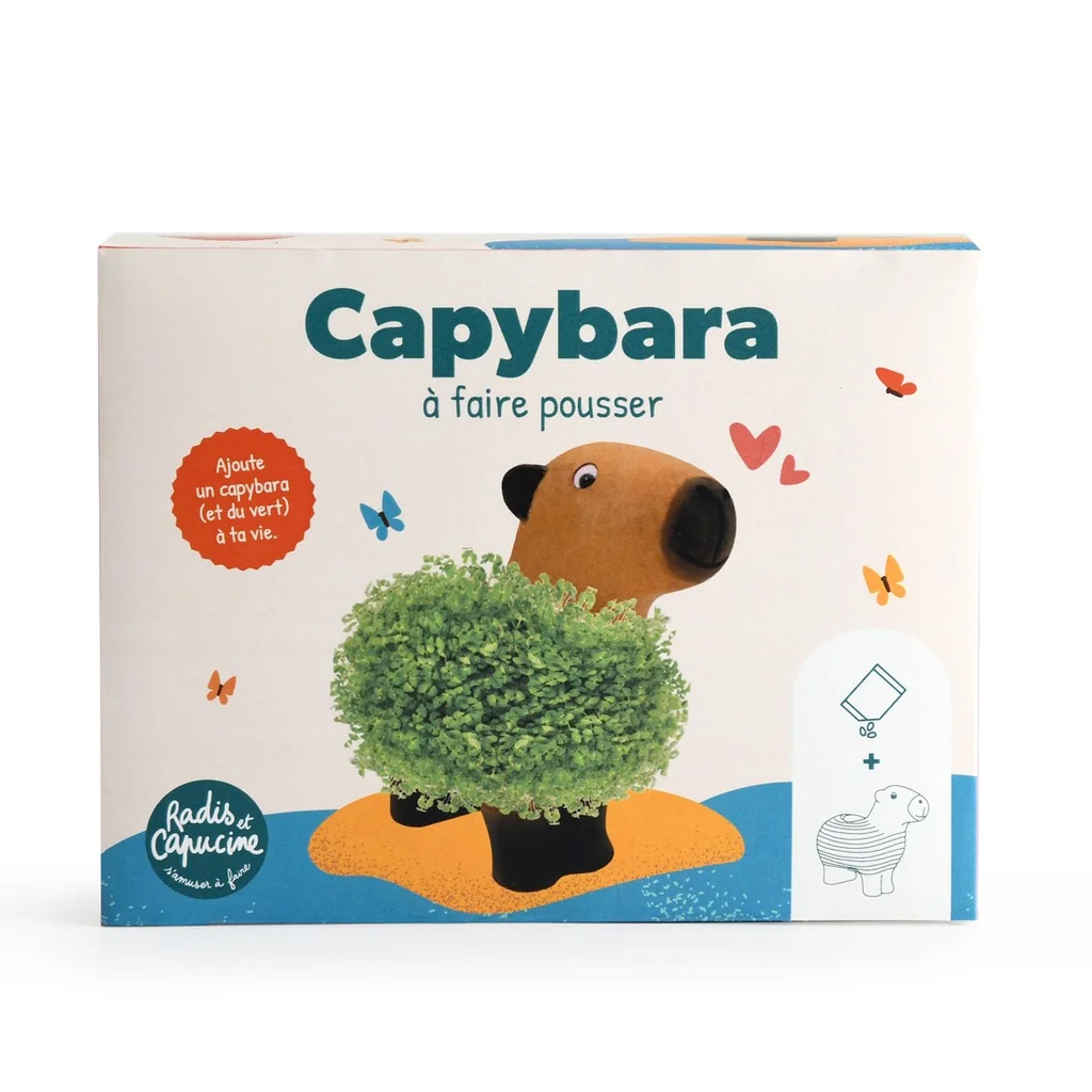 Capybara zum Samenzüchten