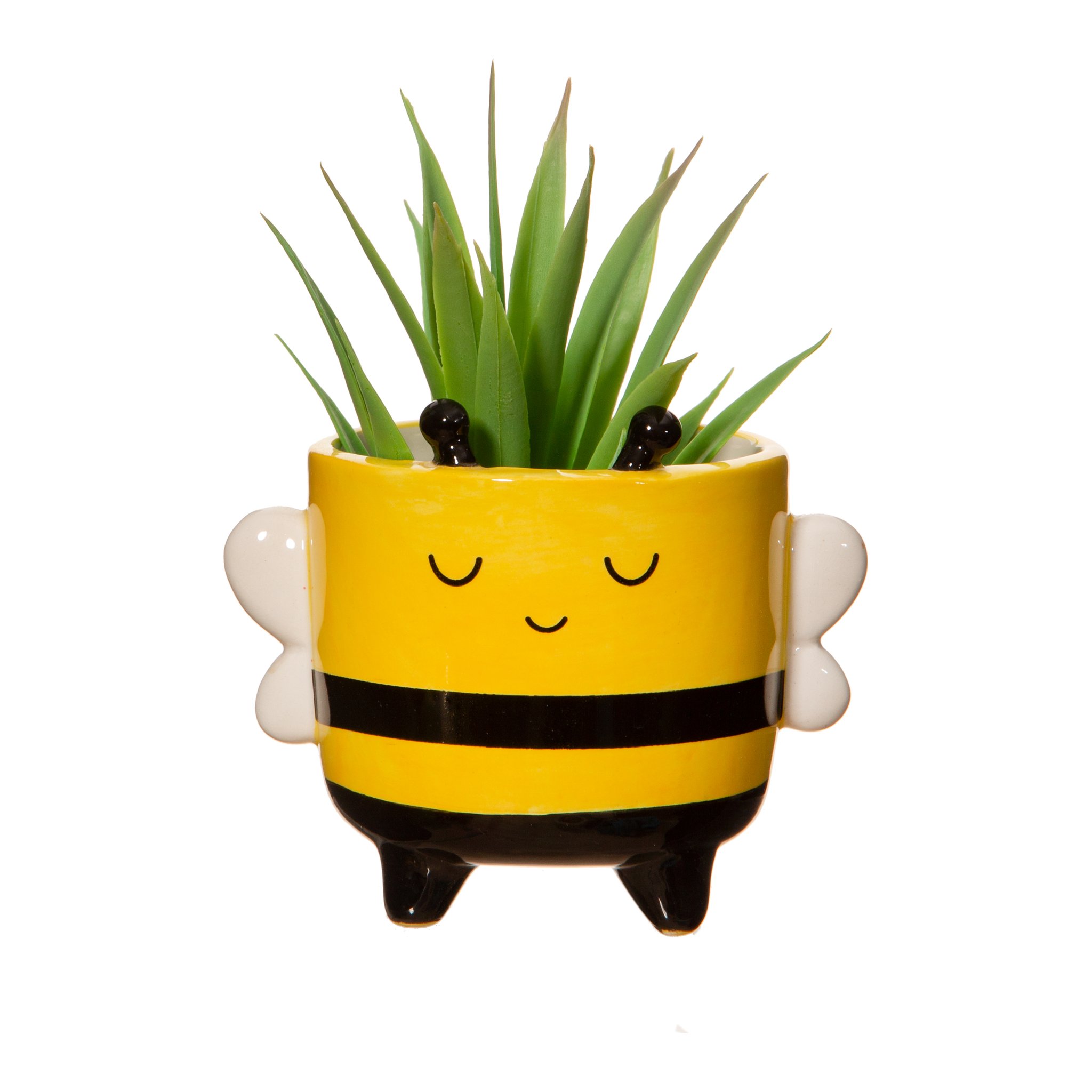 Bienen-Blumentopf bepflanzt mit Grünpflanze, freigestellt