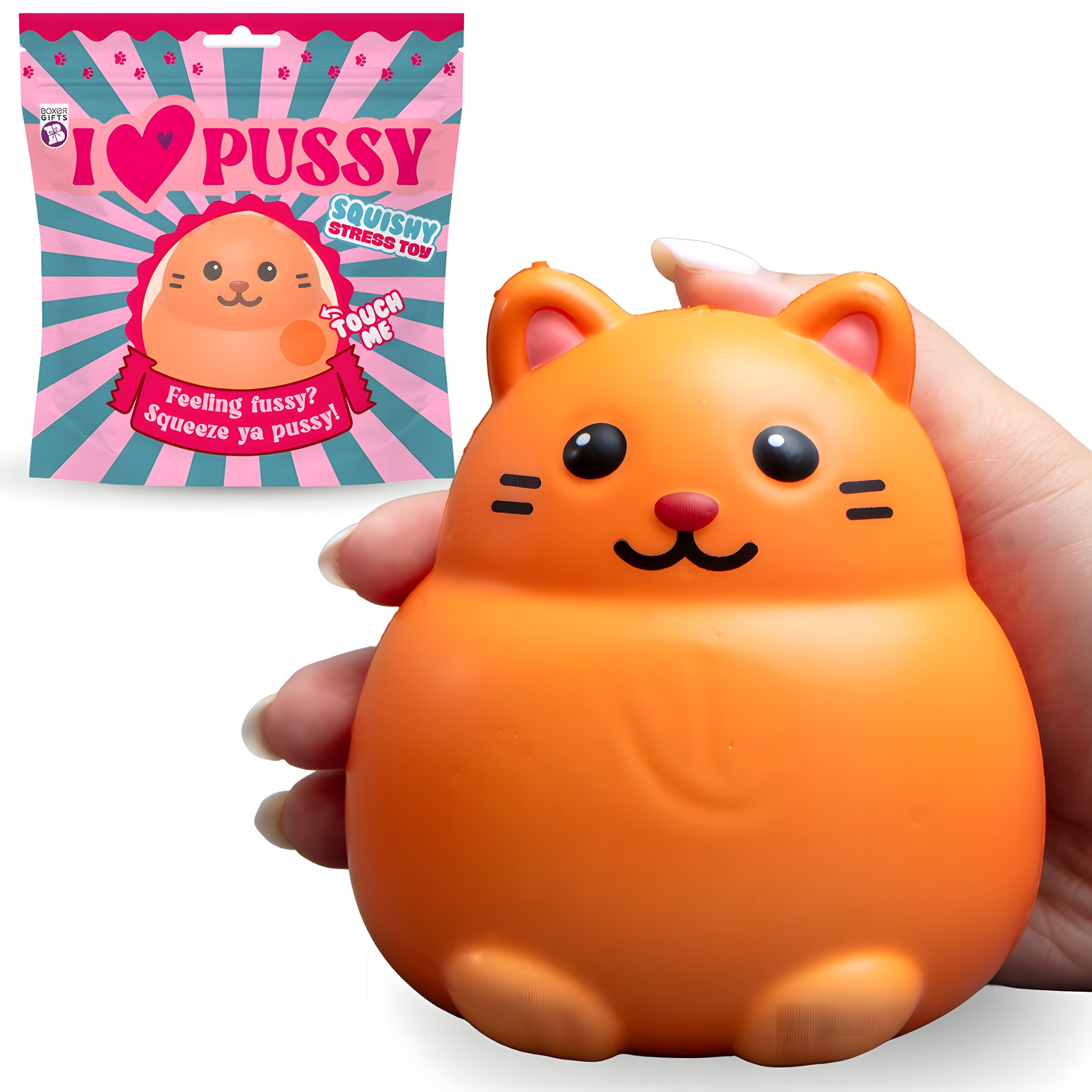 Une main tient le squishy chat orange I Love Pussy à côté de son sachet imprimé