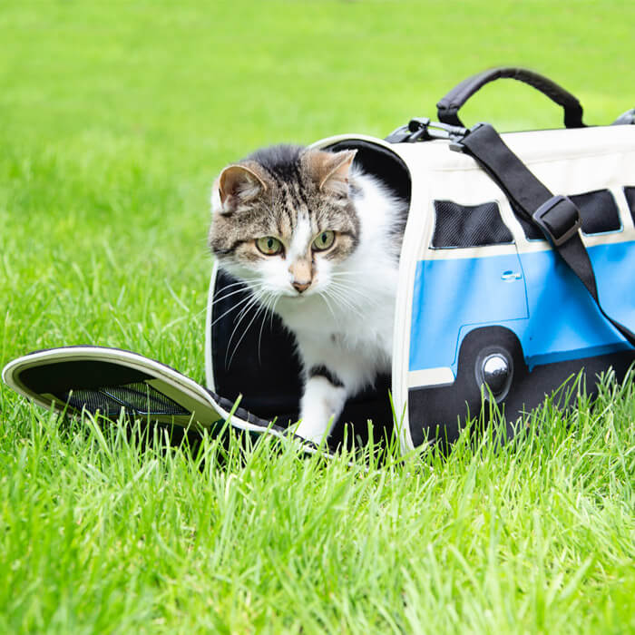 VW Camper Van Pet Carrier