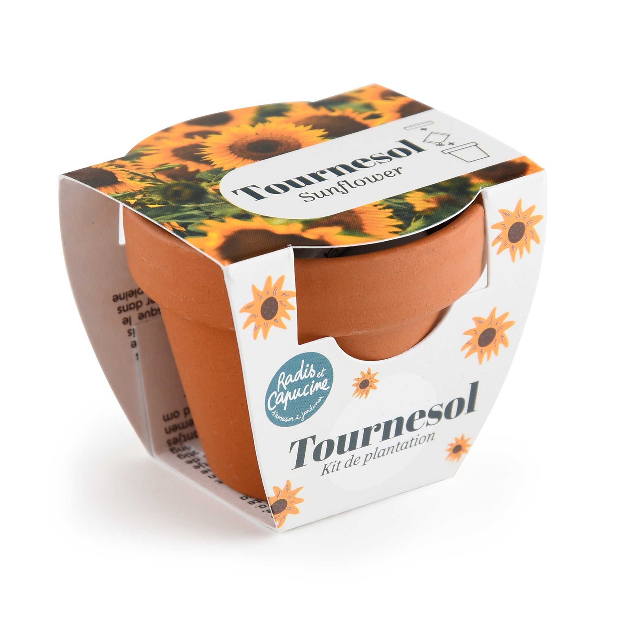 Mini Kit Girasole Prospettiva