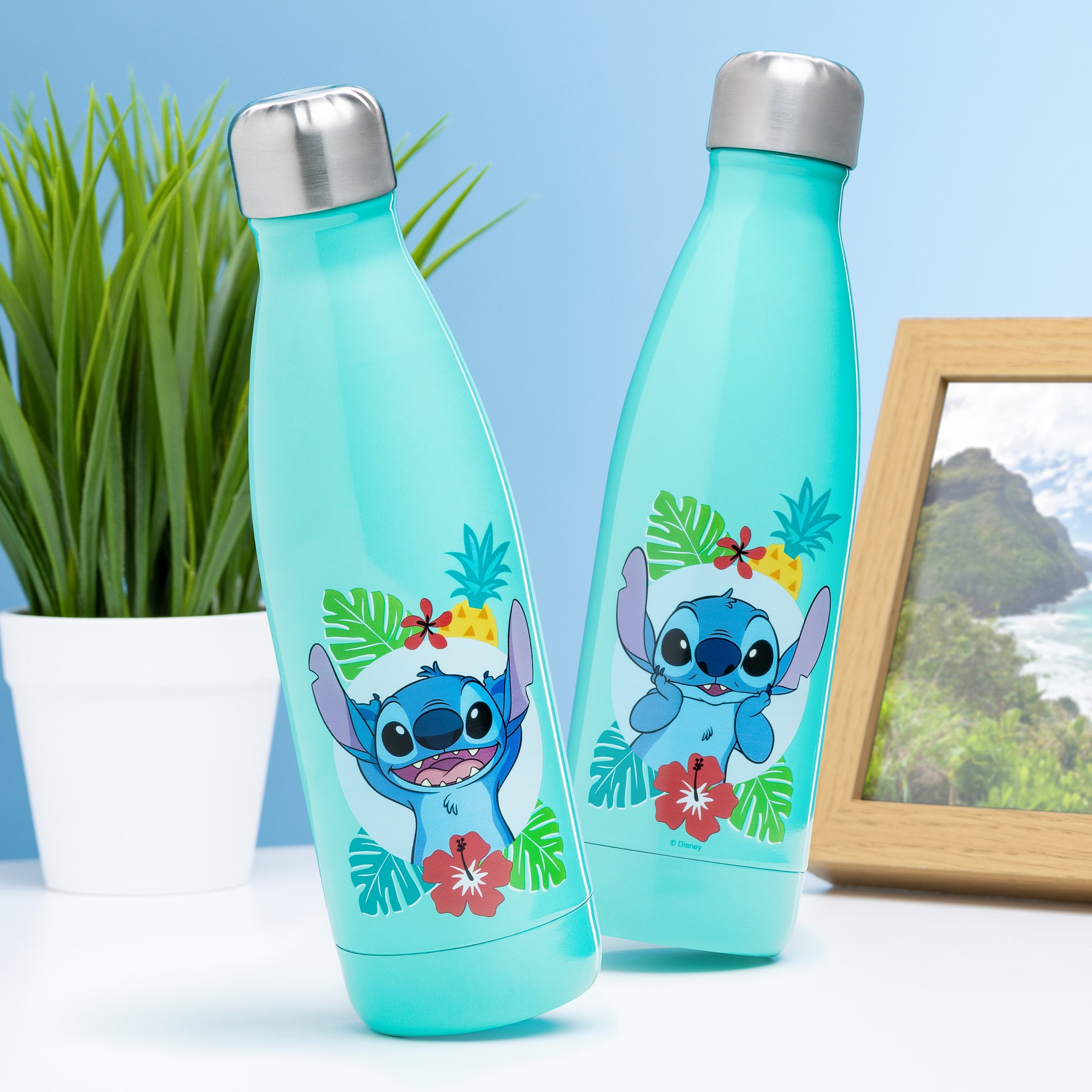 Two Stitch water bottles in front of a house plant