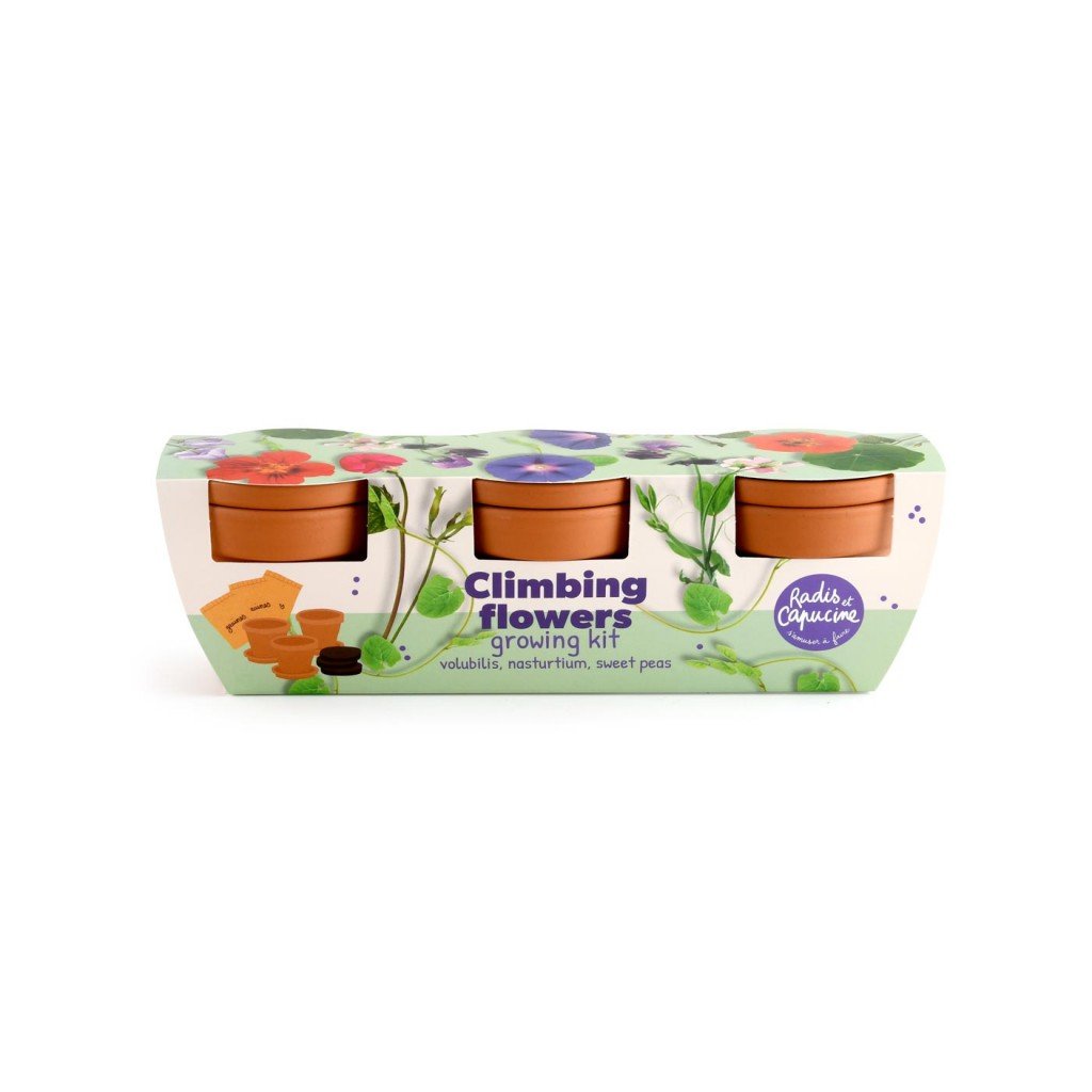 Kletterpflanzen Anzuchtset Trio