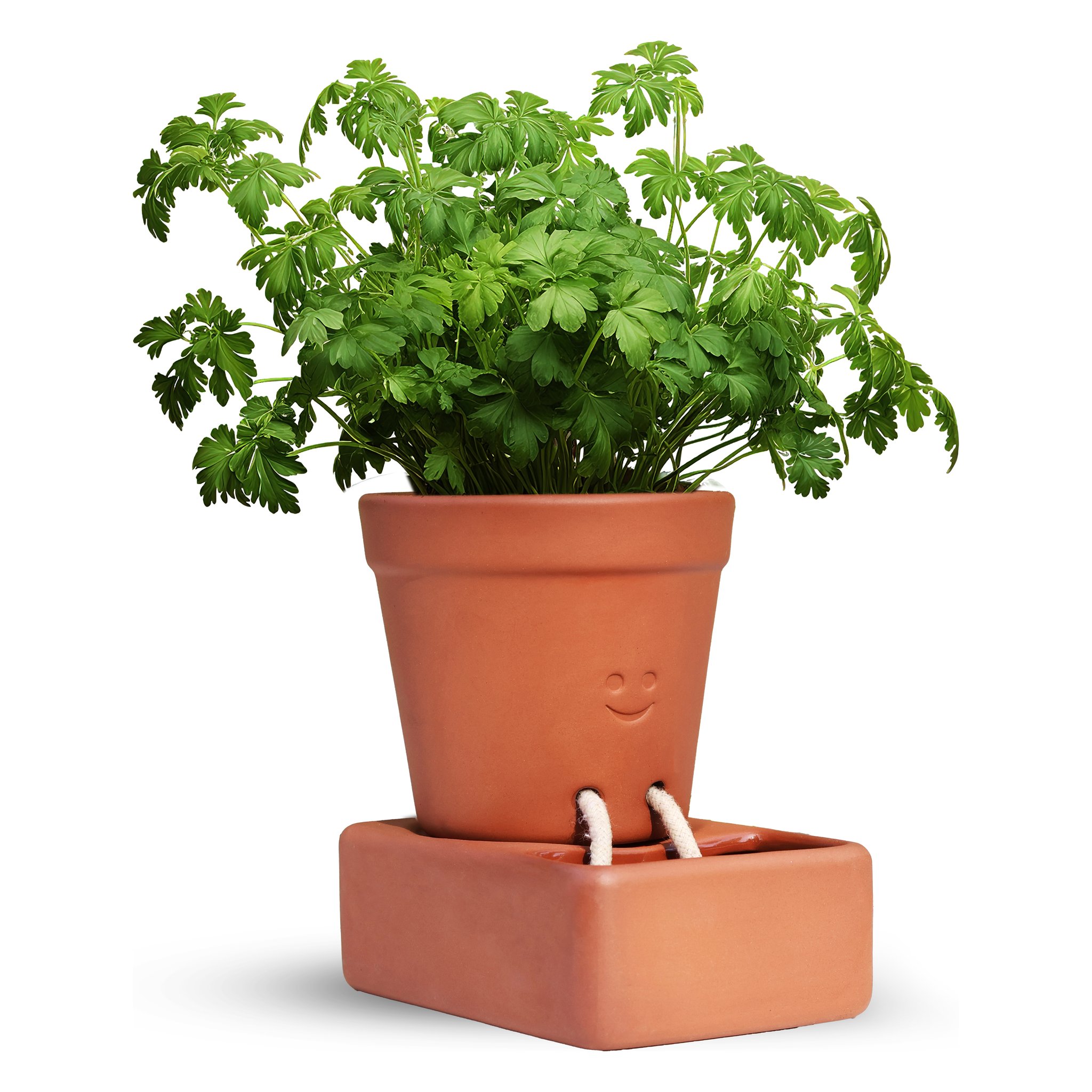 Self Care Planter Pflanztopf – mit Petersilie