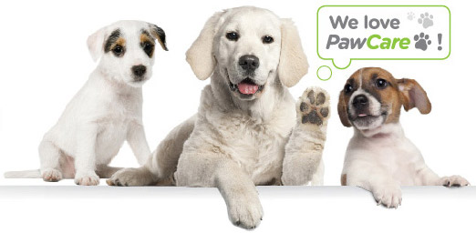 PawCare