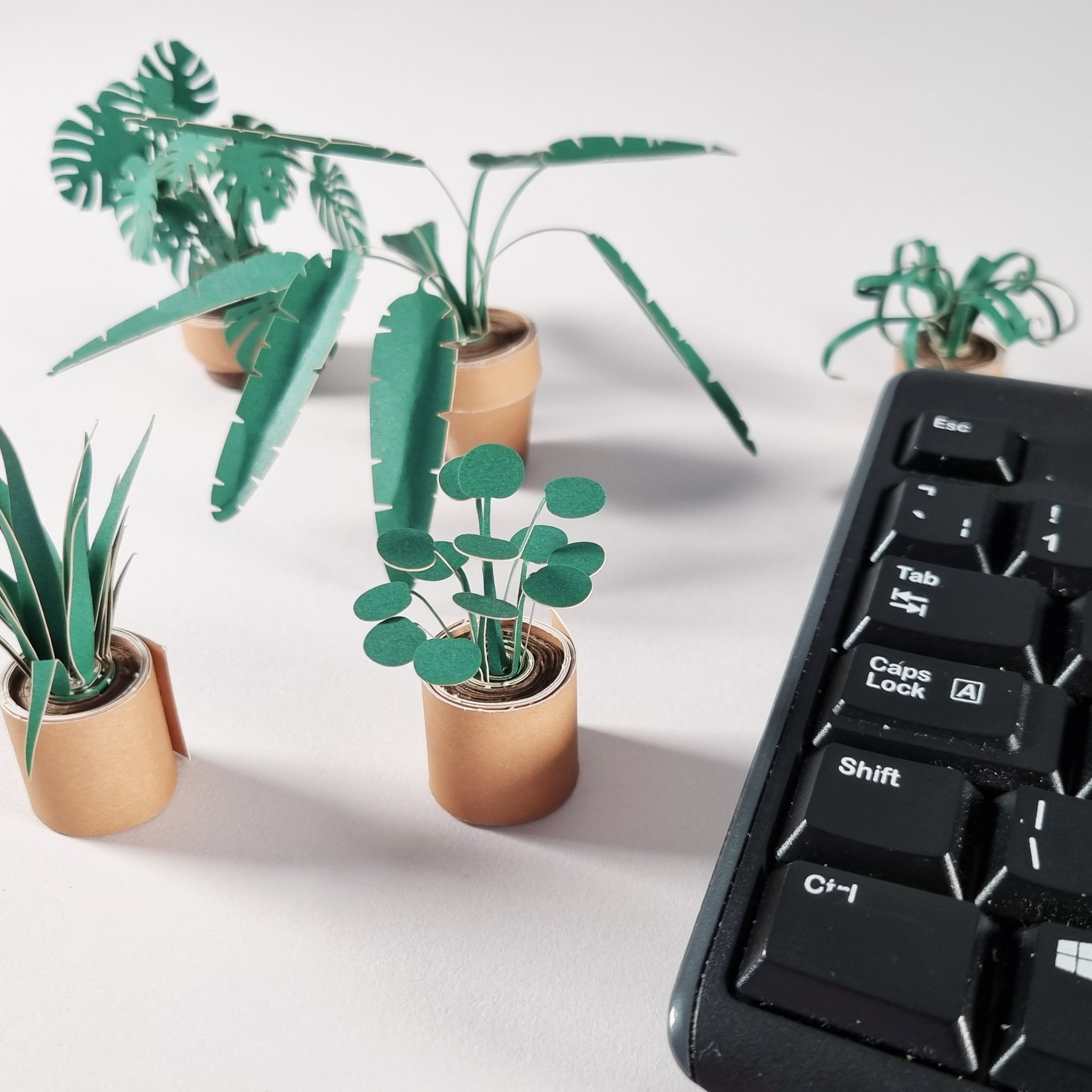 Paper Plants Origami-Set – Papierpflanzen neben der Tastatur