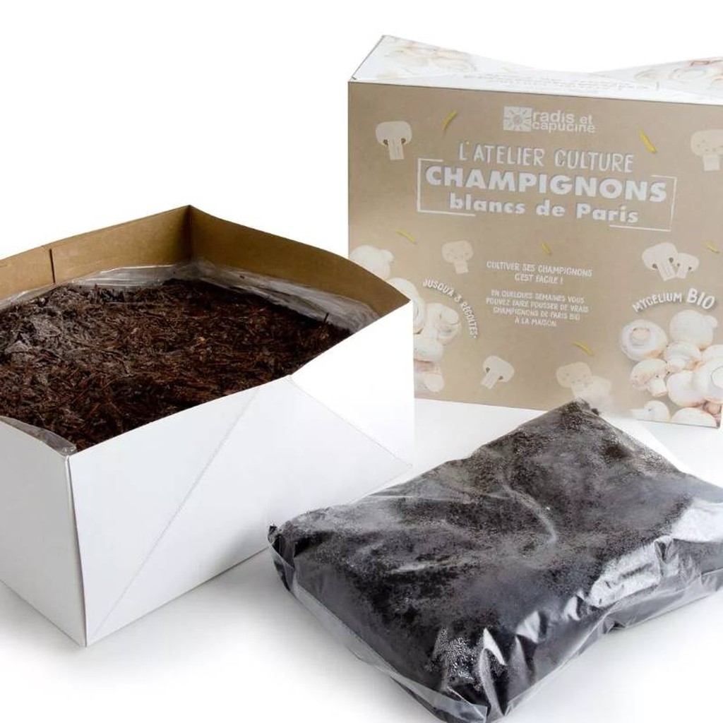 Kit di Coltivazione dei Funghi