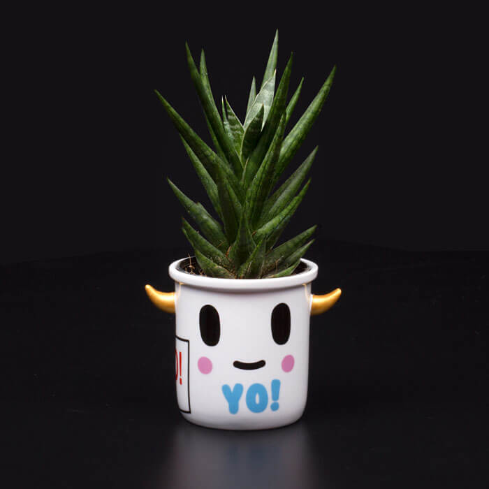 Tokidoki Yo Ceramic Planter