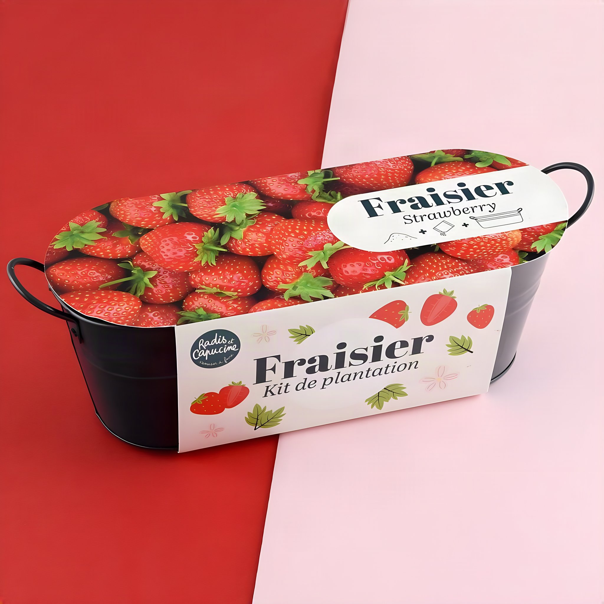 Erdbeer-Pflanzset
