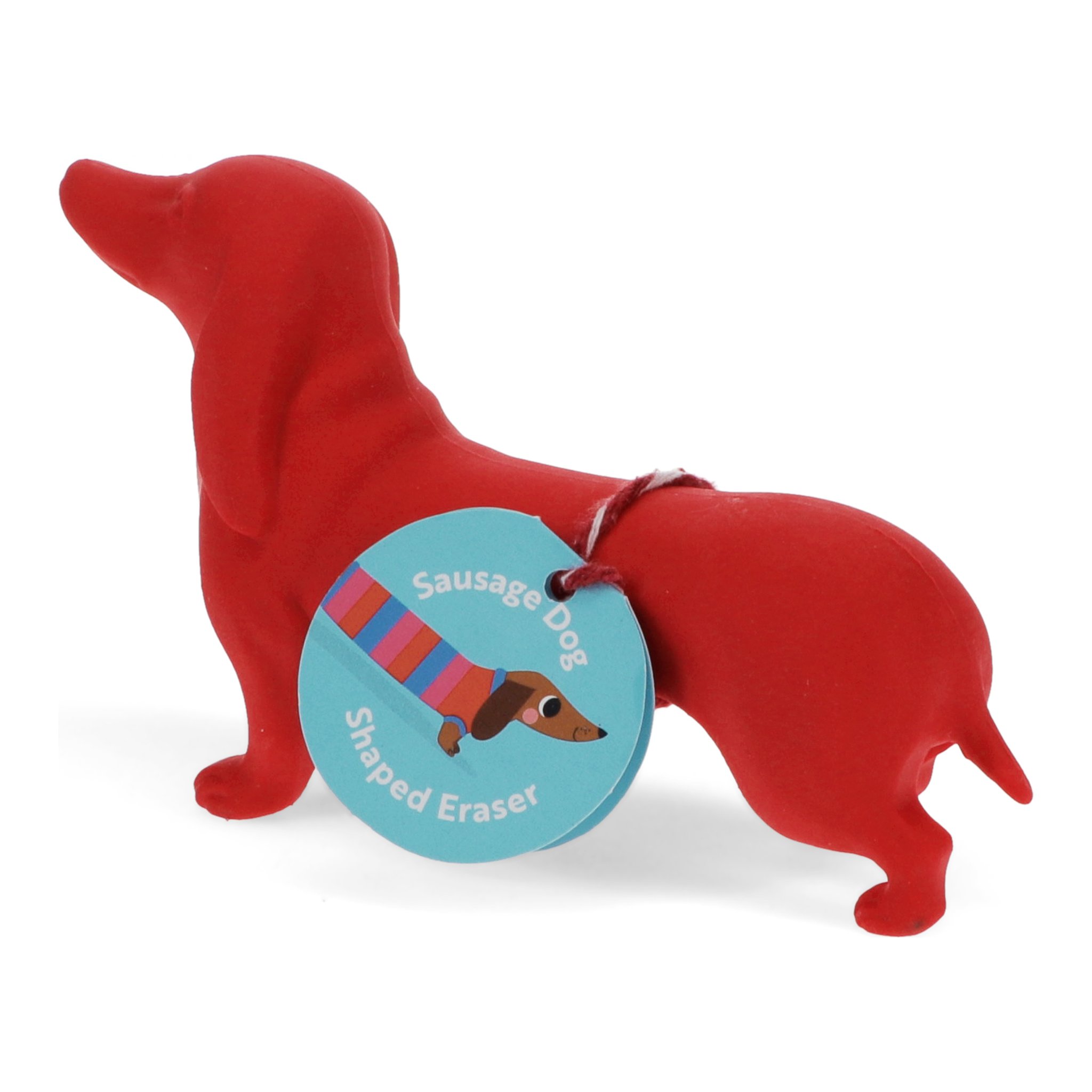 Grosser Dackel Radiergummi mit rundem Anhänger «Sausage Dog Shaped Eraser»