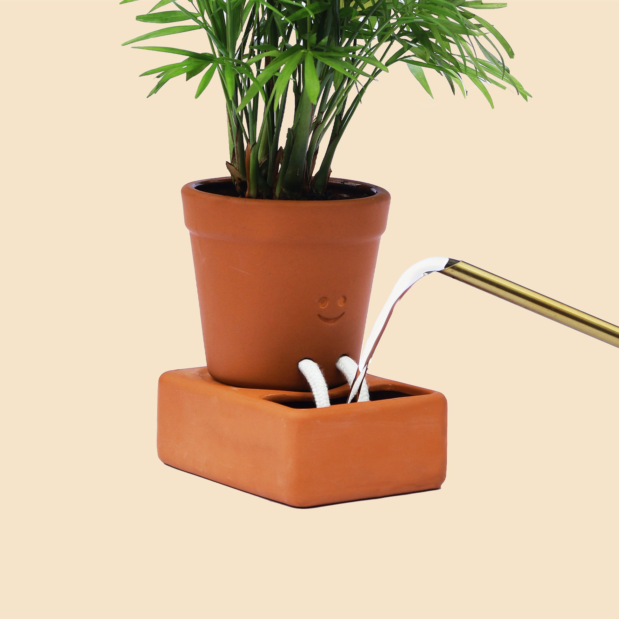 Self Care Planter – Selbstbewässernder Keramik-Pflanztopf (Bild 3)