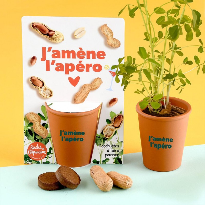 Erdnuss Anzuchtset "Ich bring den Apéro mit"