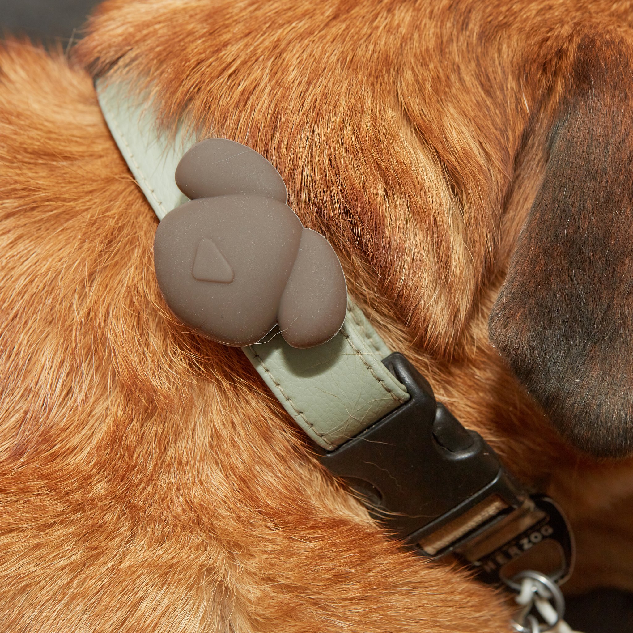 Kobe AirTag-Halter in Hundeform am Halsband eines Hundes