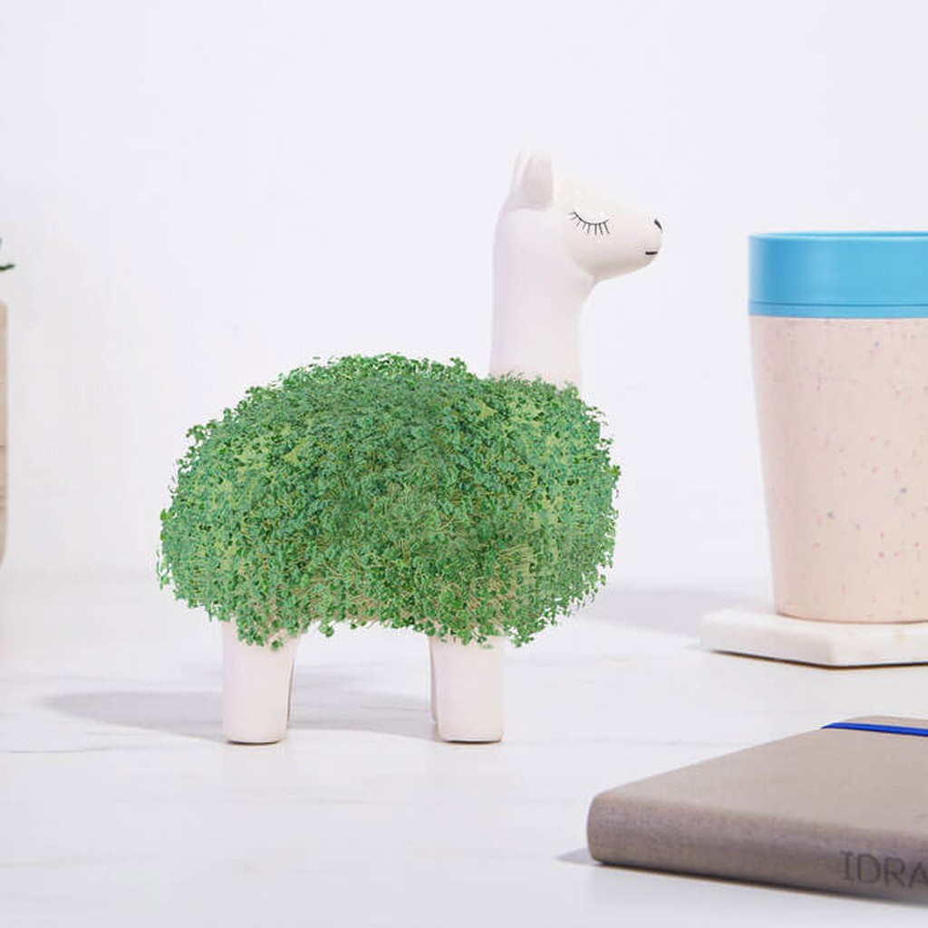 Llama Chia Pet von Giftrepublic