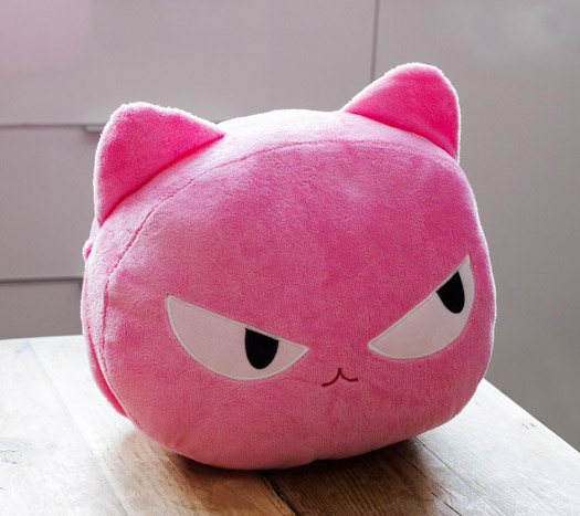 Powernap Kissen Katze