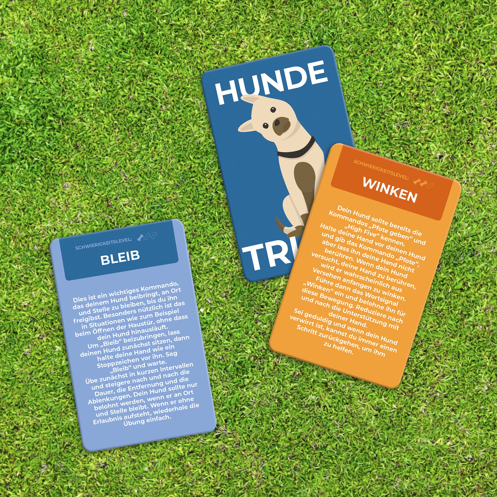 Drei Trainingskarten mit Hundemotiv im Gras