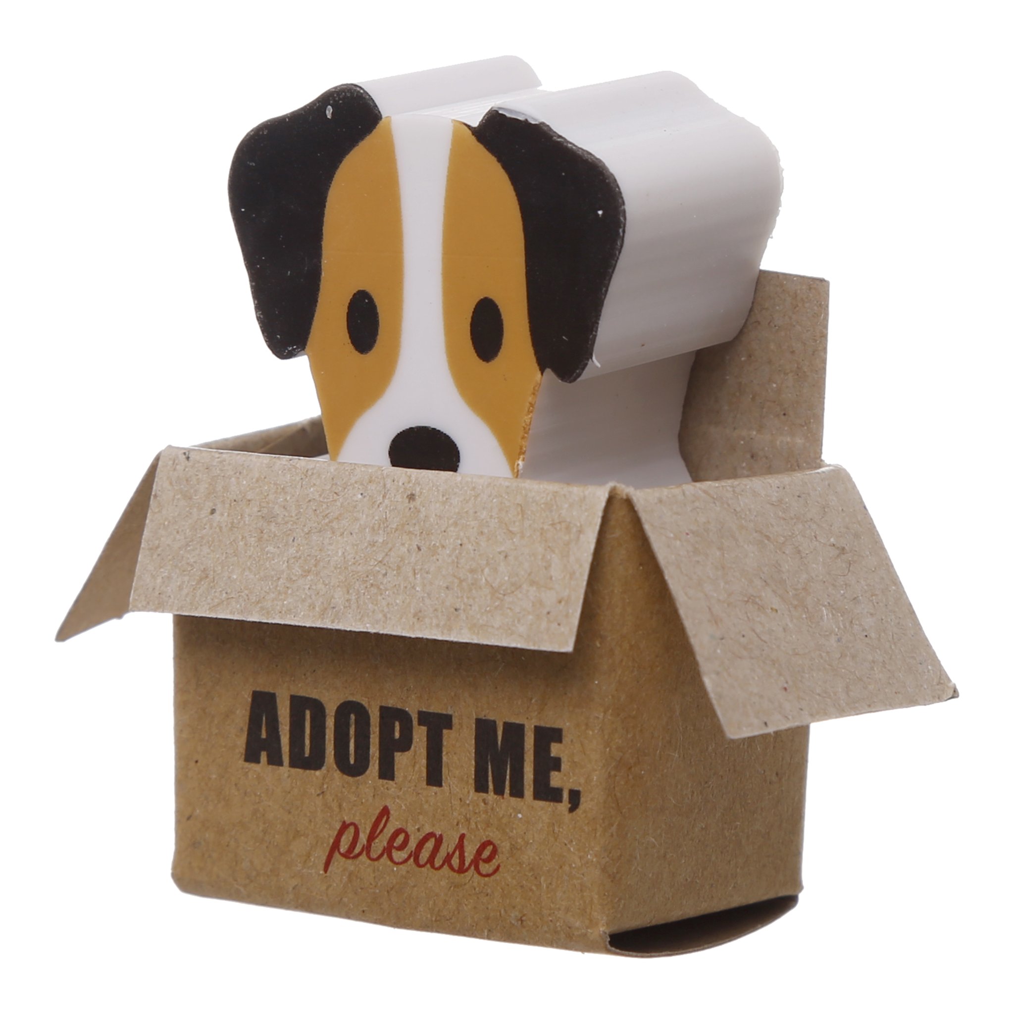 Beagle-Radiergummi in der «Adopt me»-Schachtel