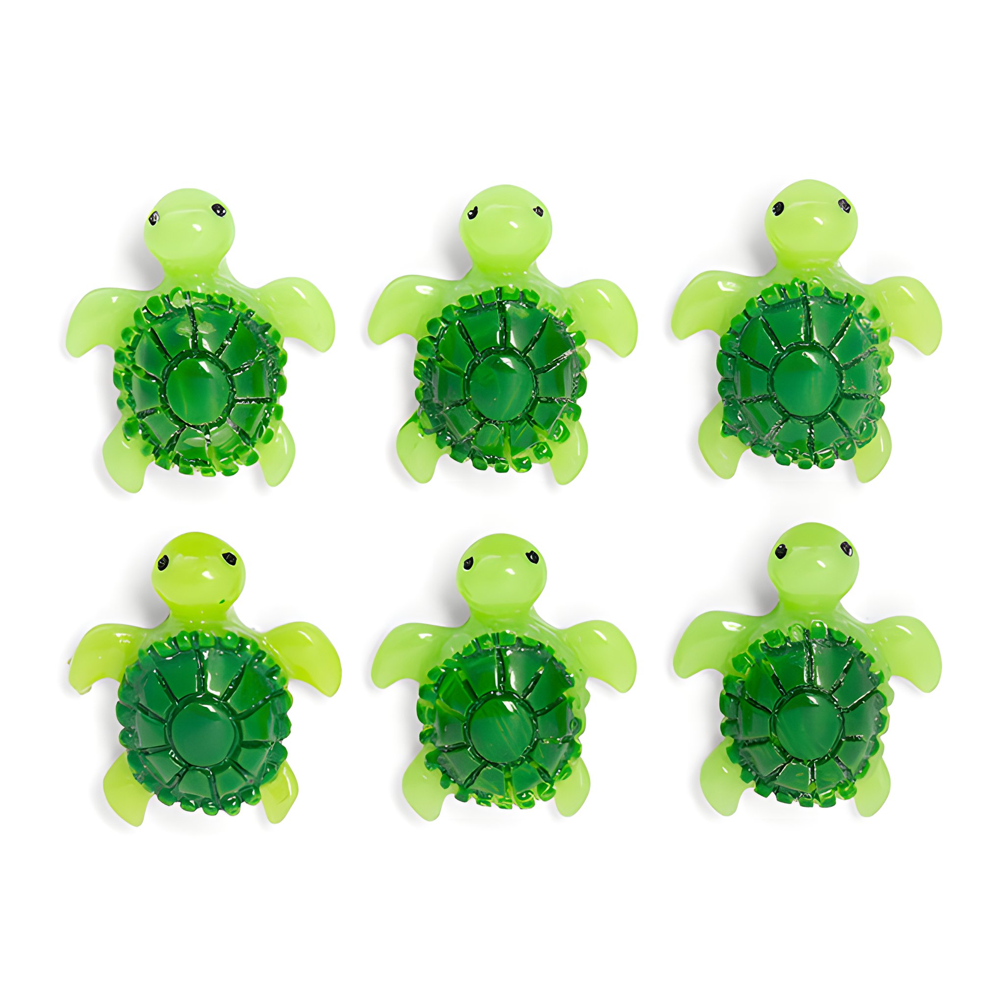 Baby Turtle Magnets