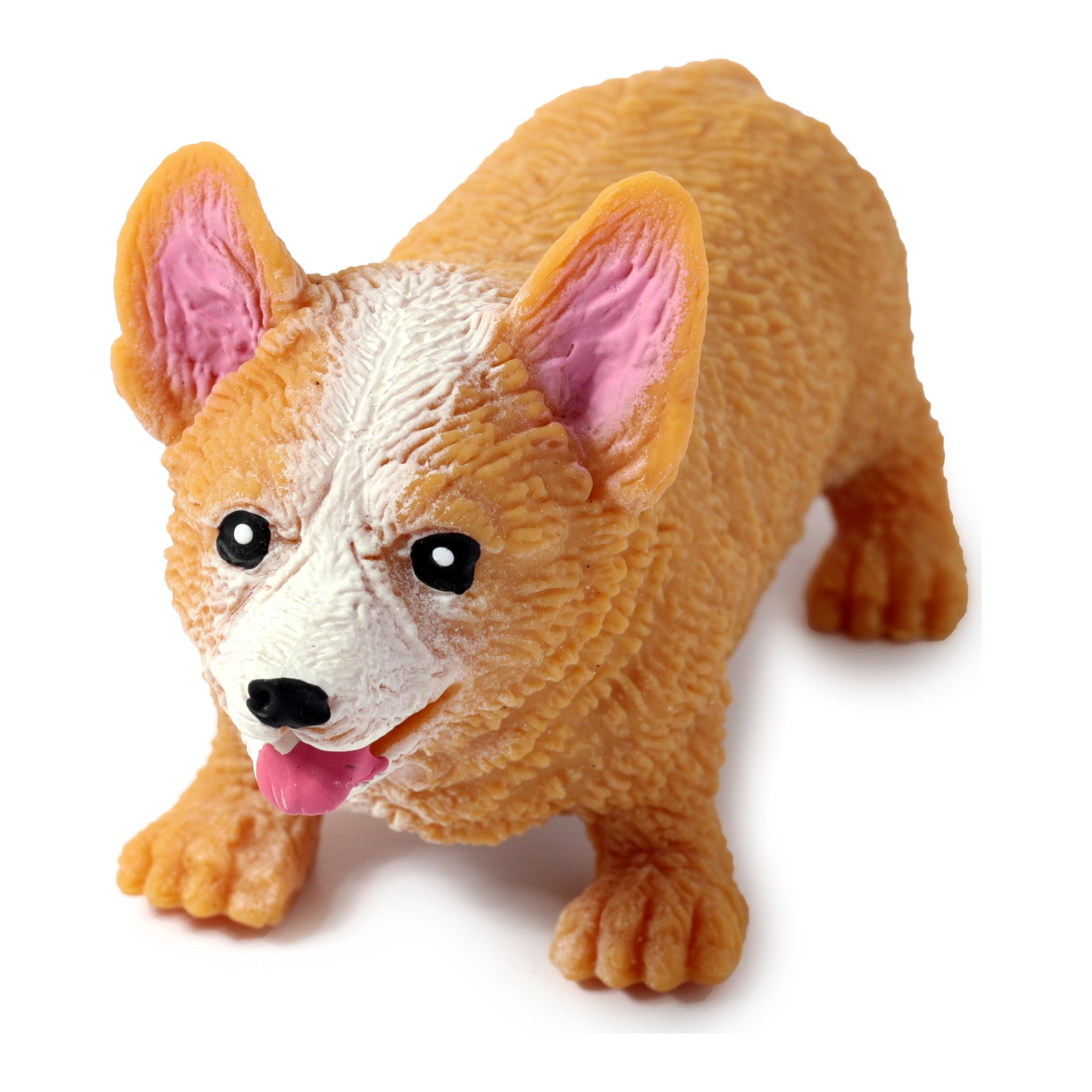 Corgi-Stressball von vorne in Spielhaltung