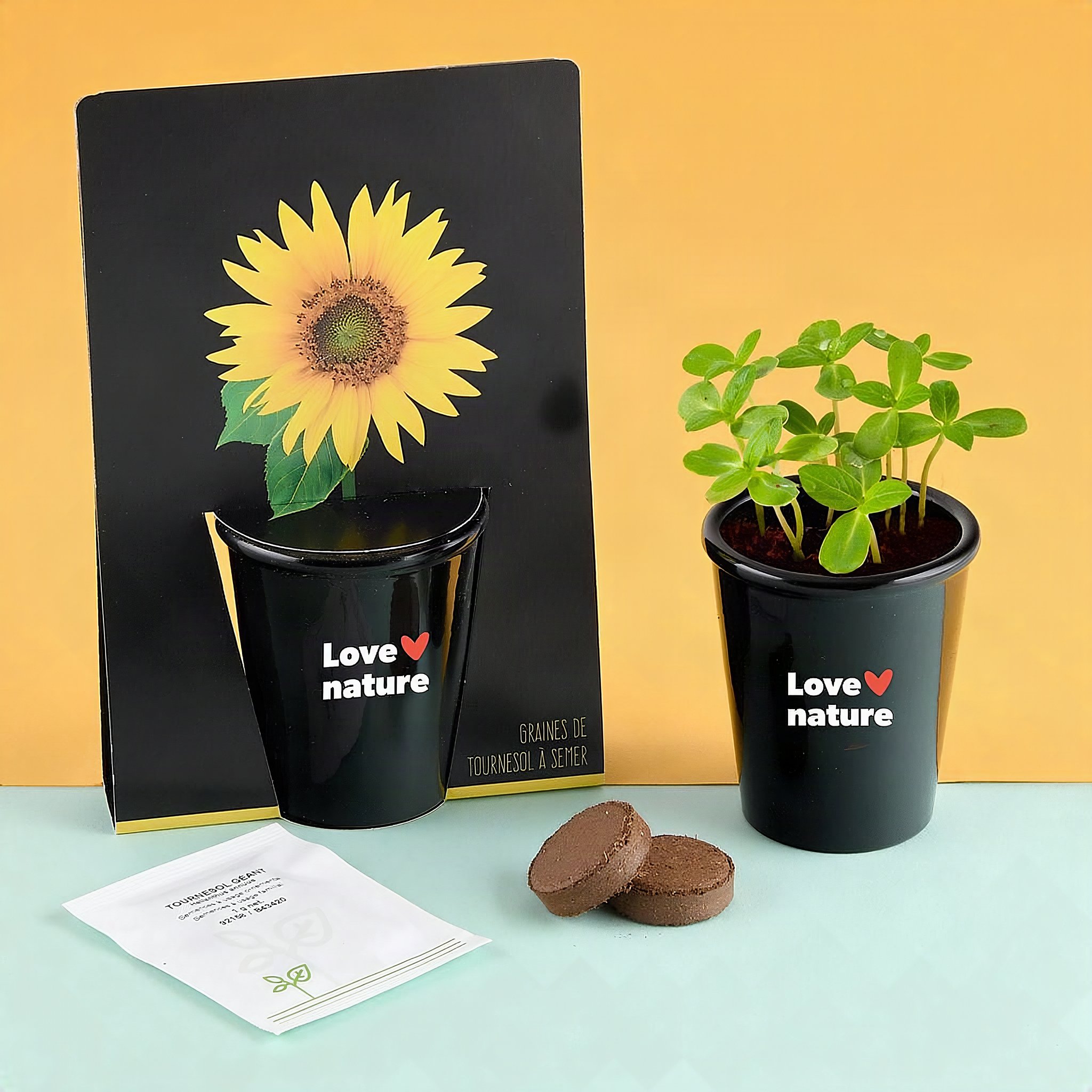 Confezione accanto al vaso con giovani piantine di girasole, bustina di semi e pastiglie di cocco