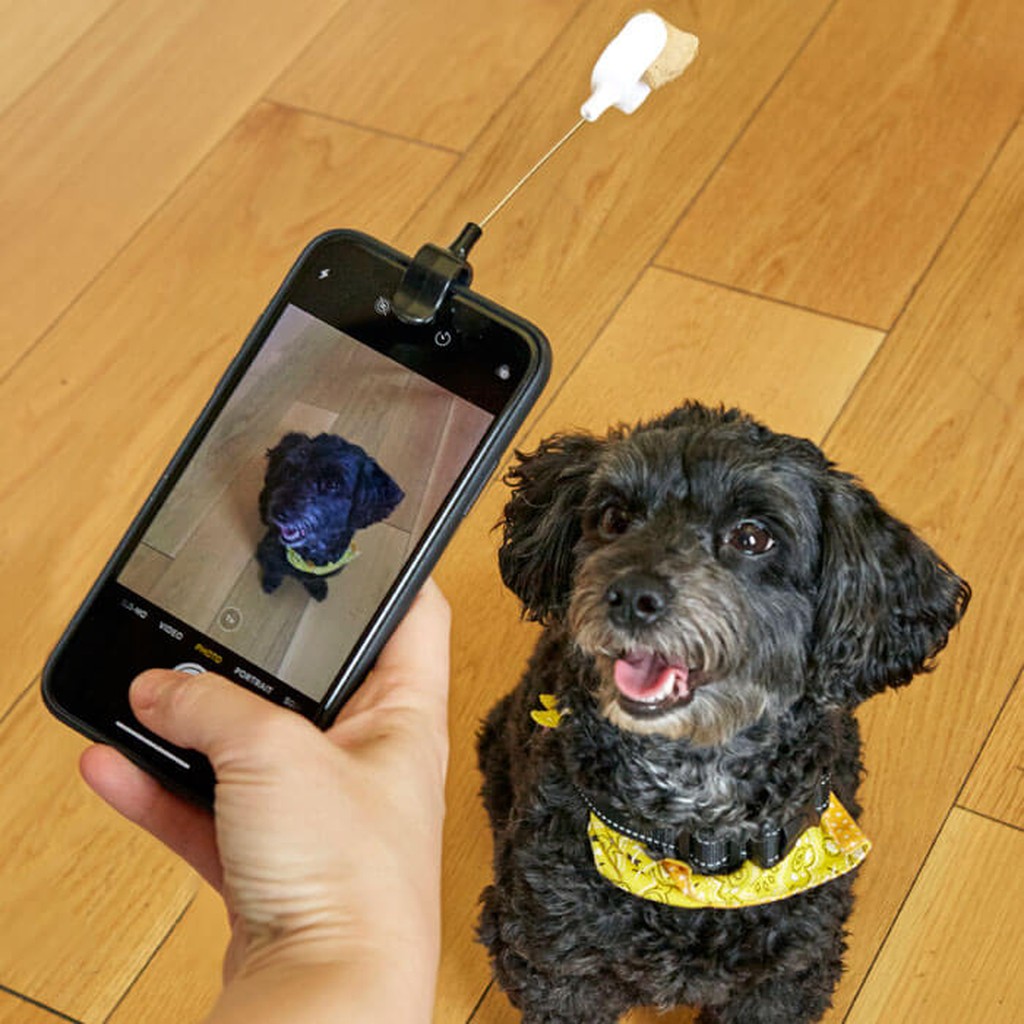 Selfie Gadget für Hunde: Dog Treat Selfie Clip von Kikkerland