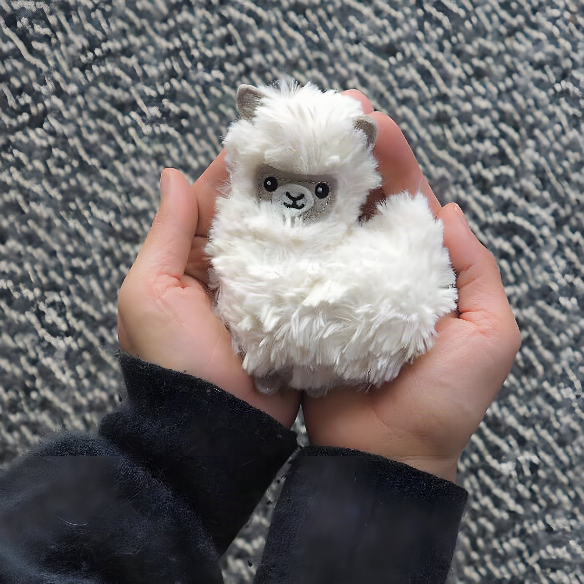 Pocket Pal Llama
