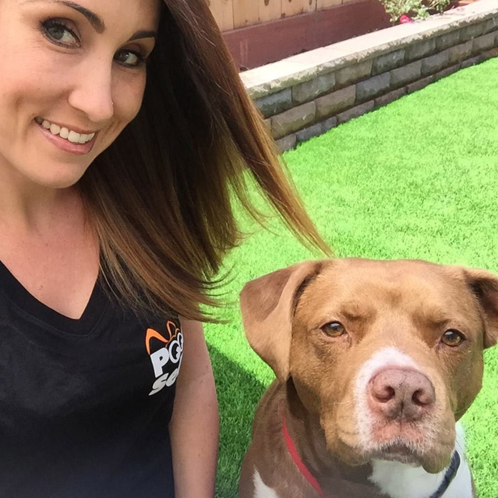 Pooch Selfie - Für bessere Selfies mit Hunden