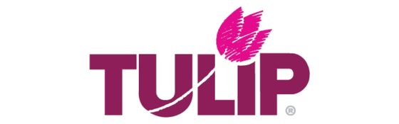 Tulip
