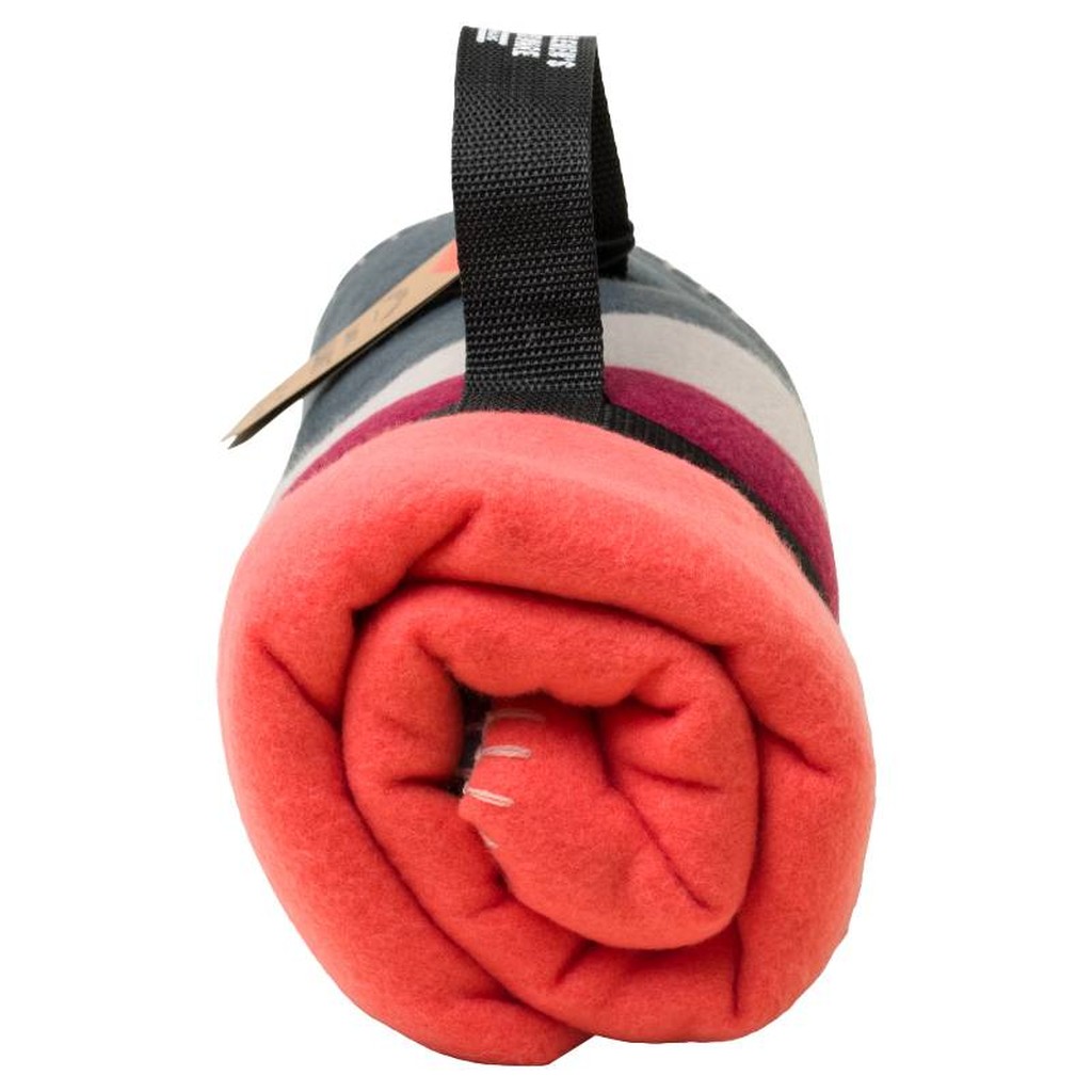 Couverture de Camping