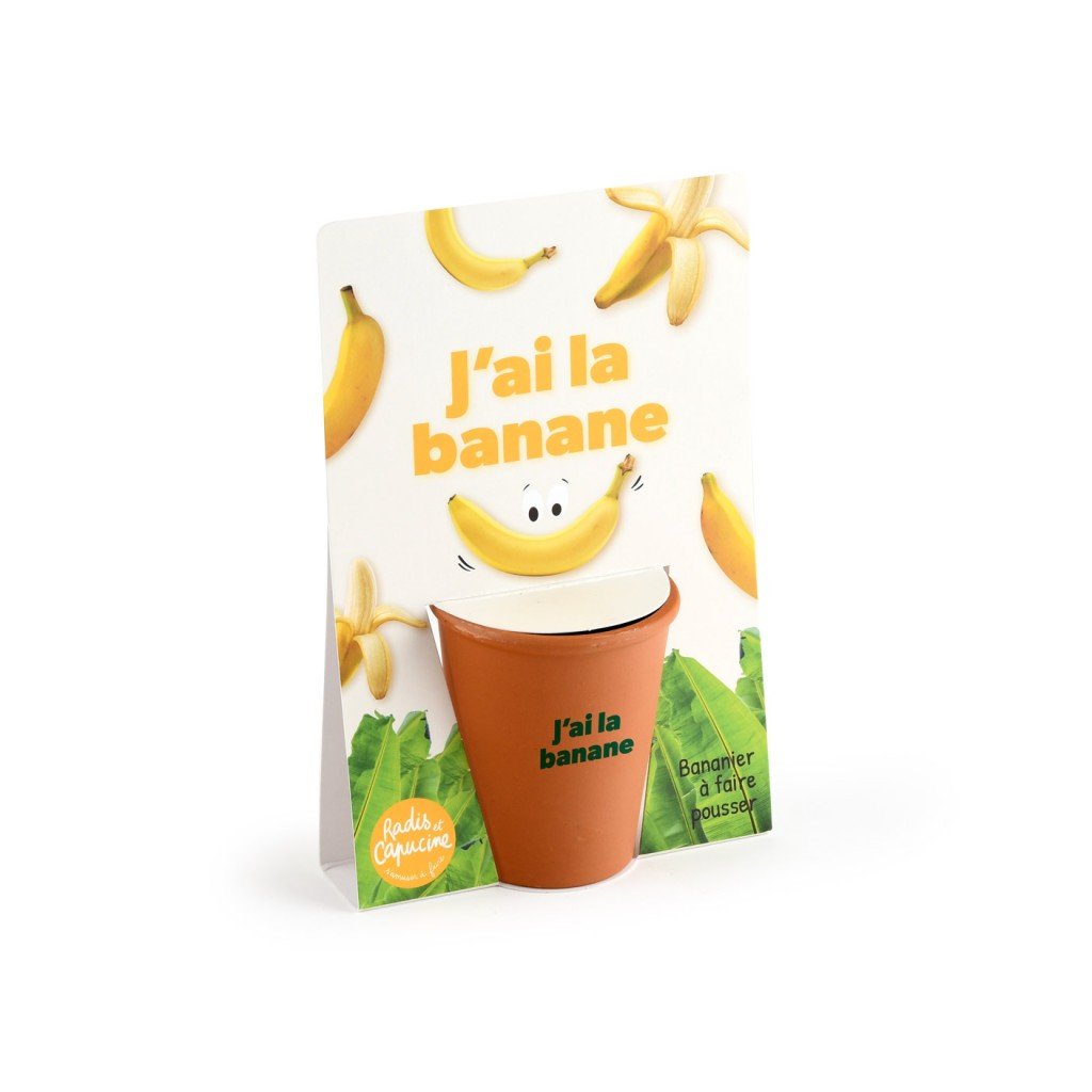 Bananenbaum Anzuchtset "Ich hab gut lachen"