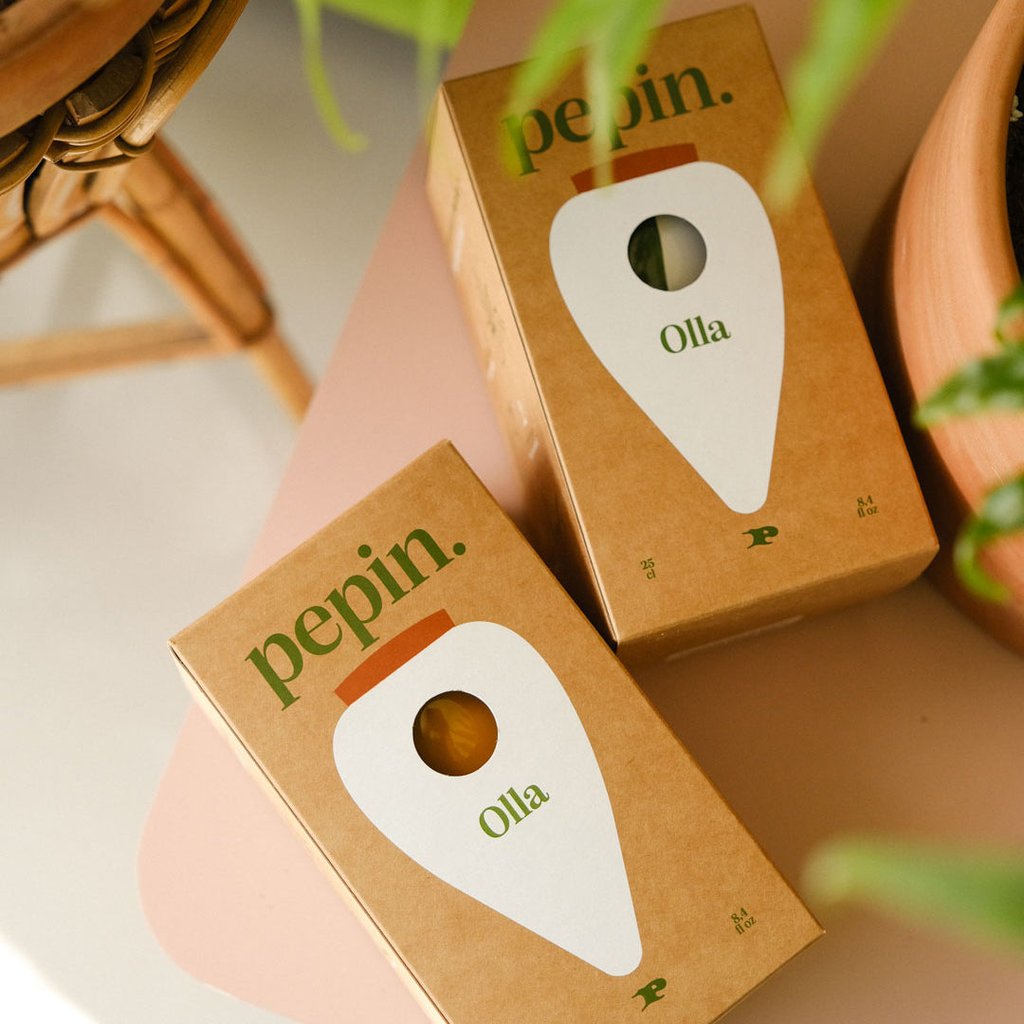 Pepin Olla Terracotta – Automatische Bewässerung