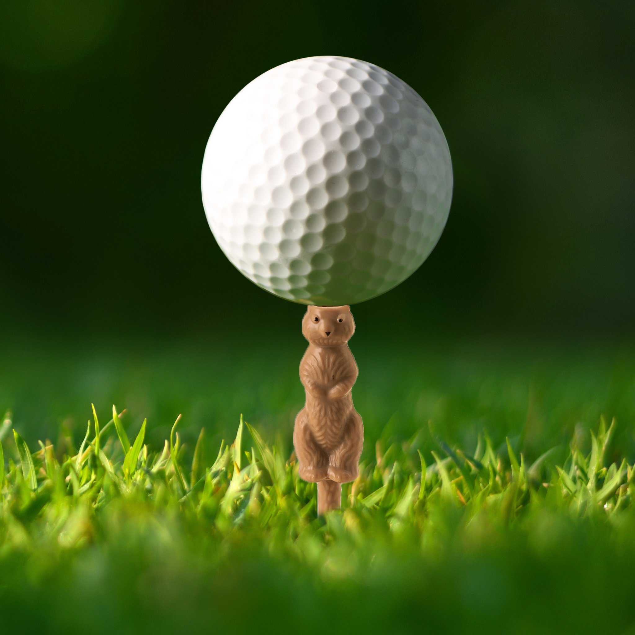 Tee da golf scoiattolo con pallina sul prato