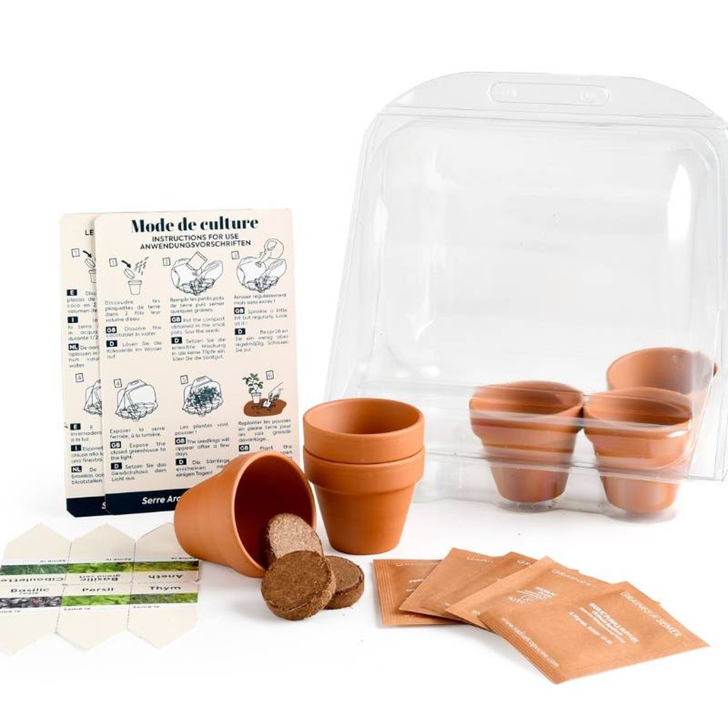 Mini-Kräuter-Gewächshaus