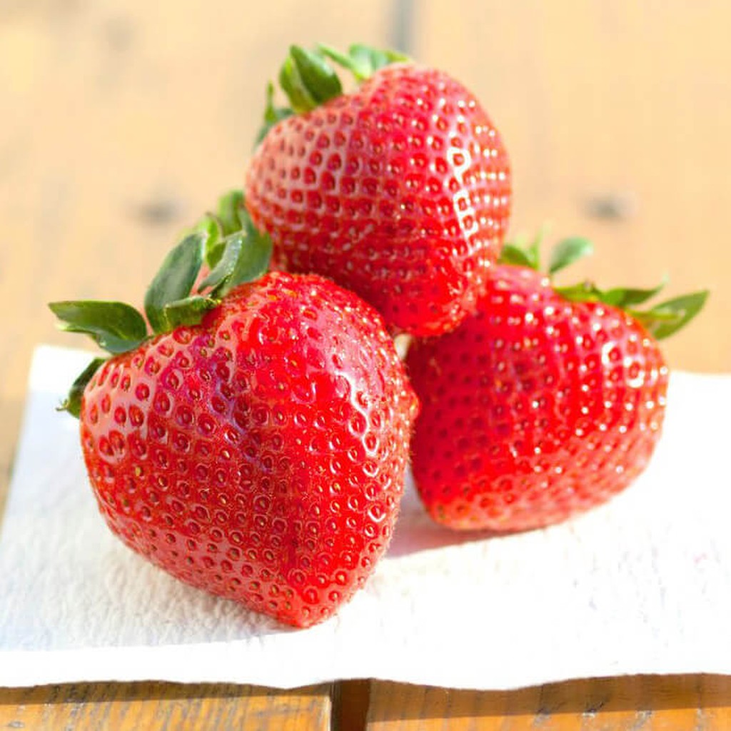 FreshPaper von fenugreen