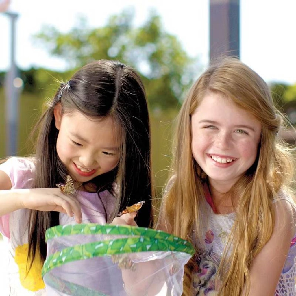 Jardin des papillons