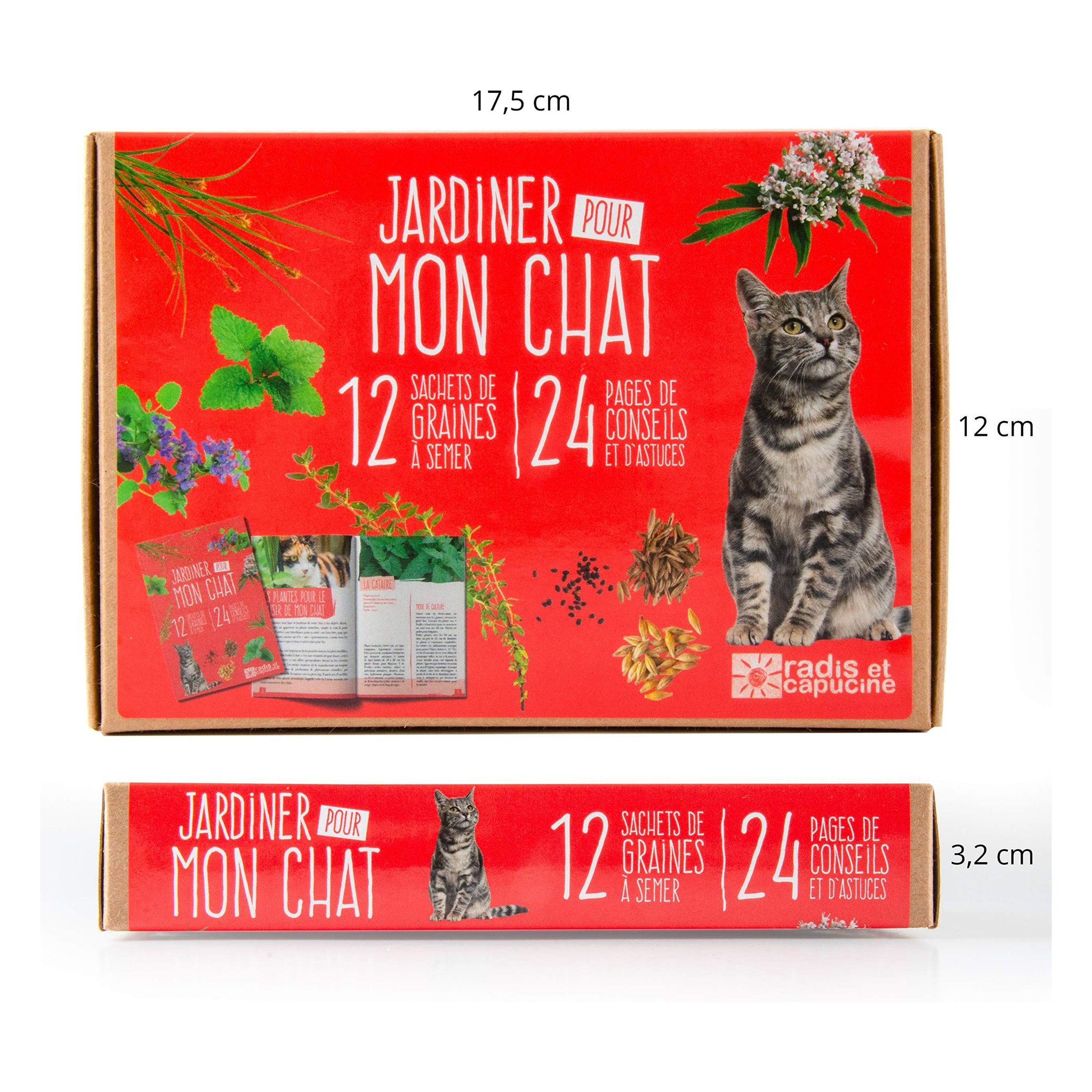 12 Plants for My Cat — lifestyle view