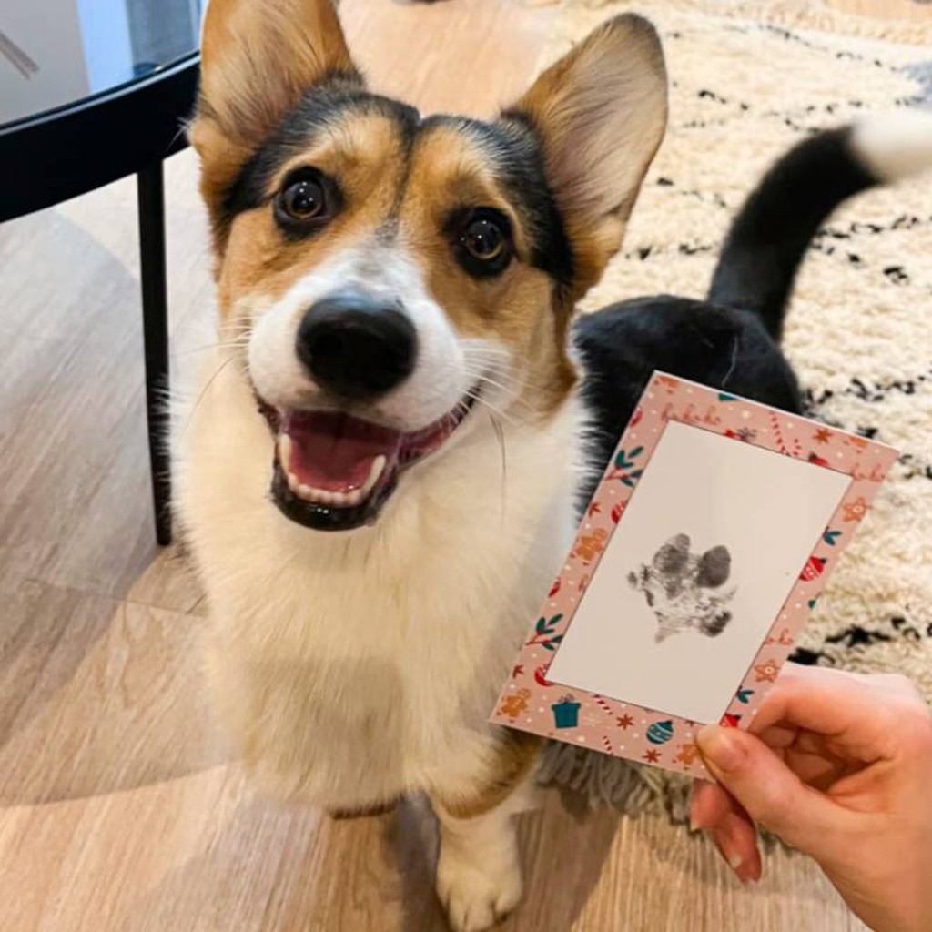 PawPrinter Pfotenabdruck-Set