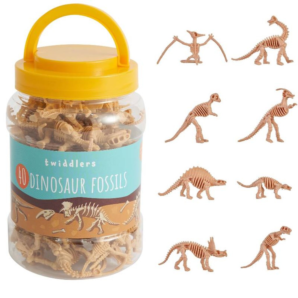 40 Dinosaurierskelette