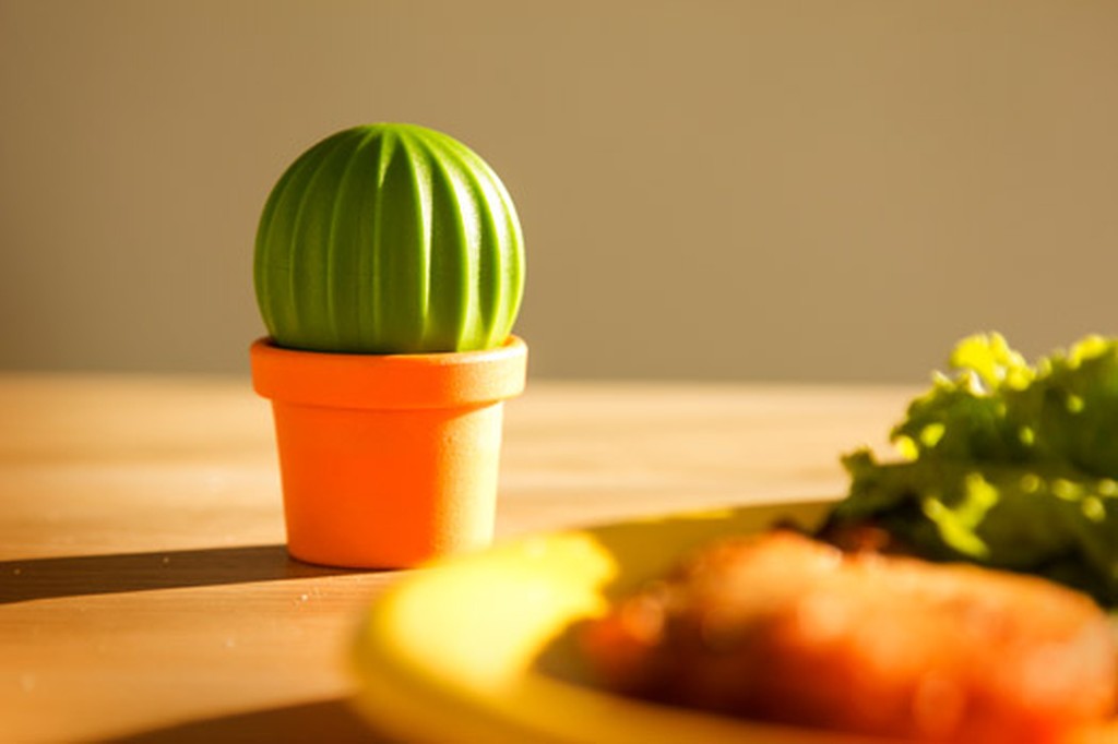 Salz Pfefferstreuer Kaktus von Qualy