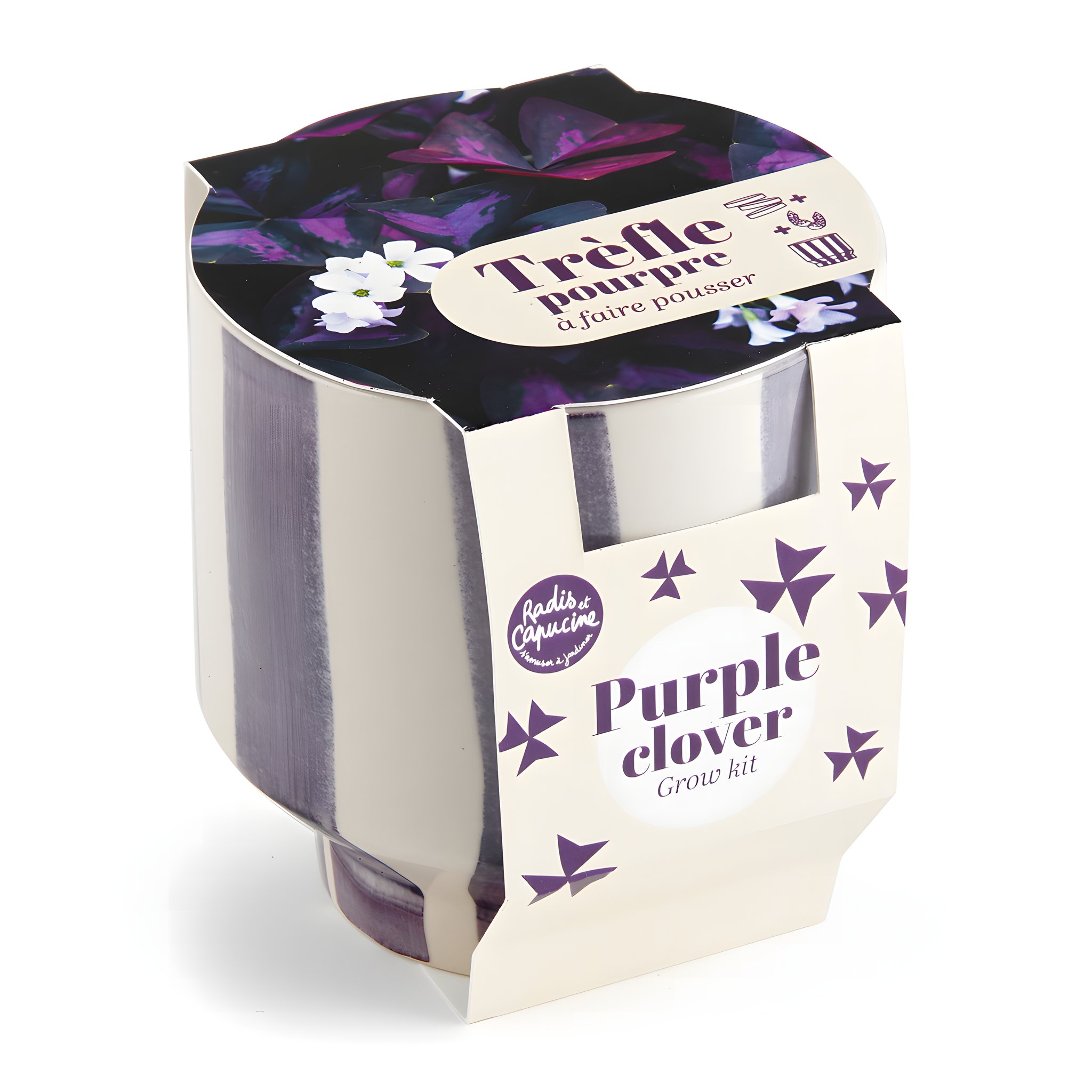 Kit Trèfle Pourpre – Pot en céramique avec Oxalis triangularis