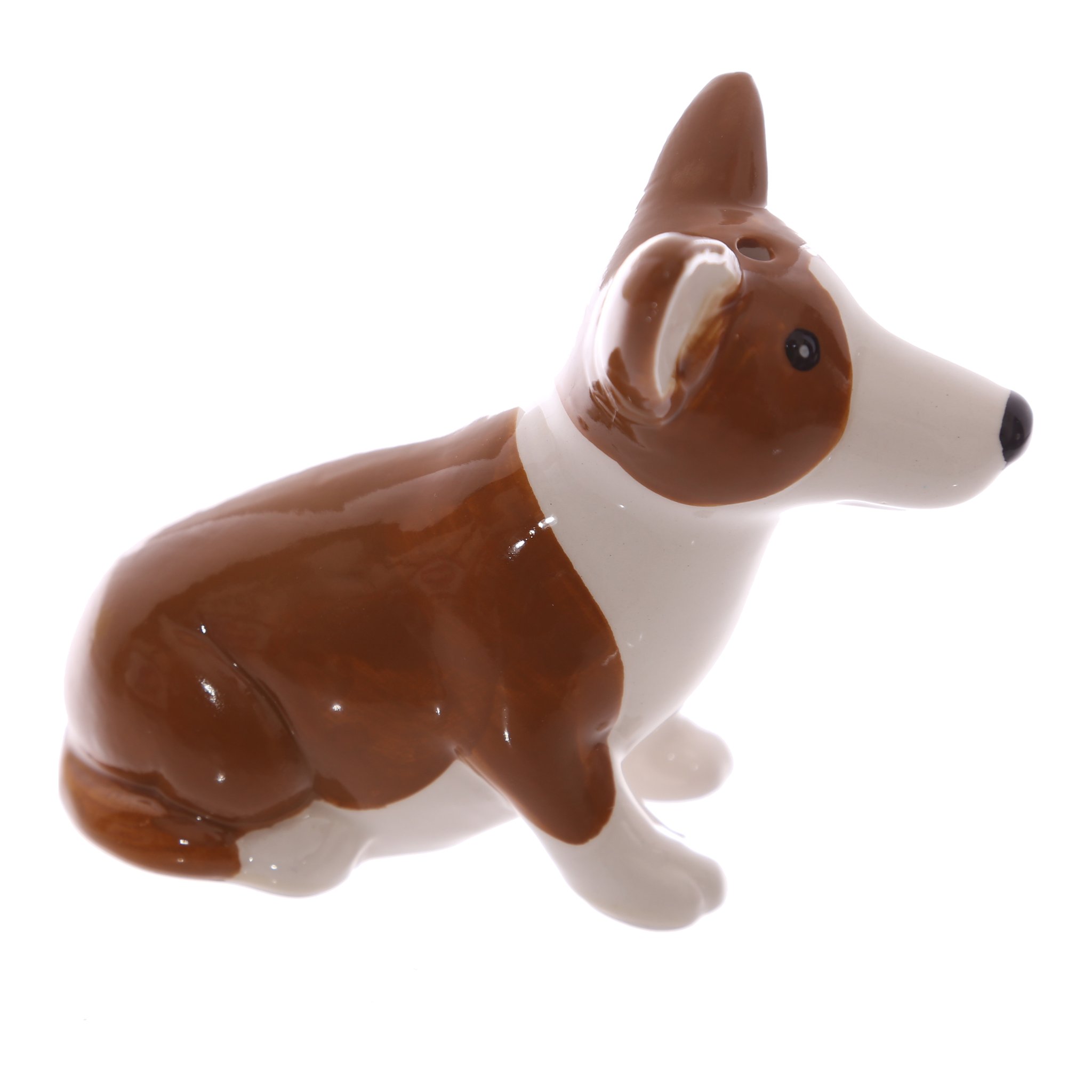 Corgi-Streuer liegend im Profil